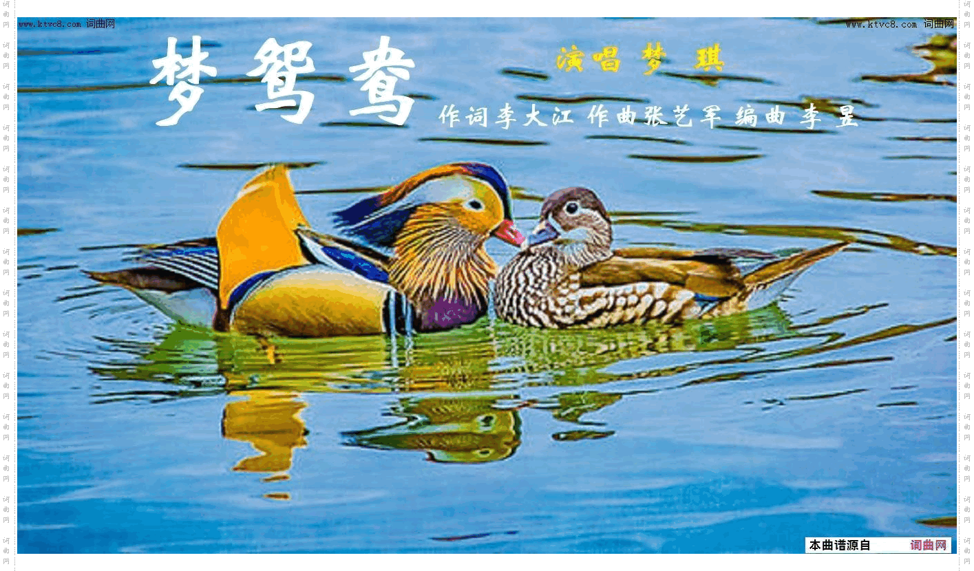 梦鸳鸯_梦琪唱 张艺军曲 李昱编曲