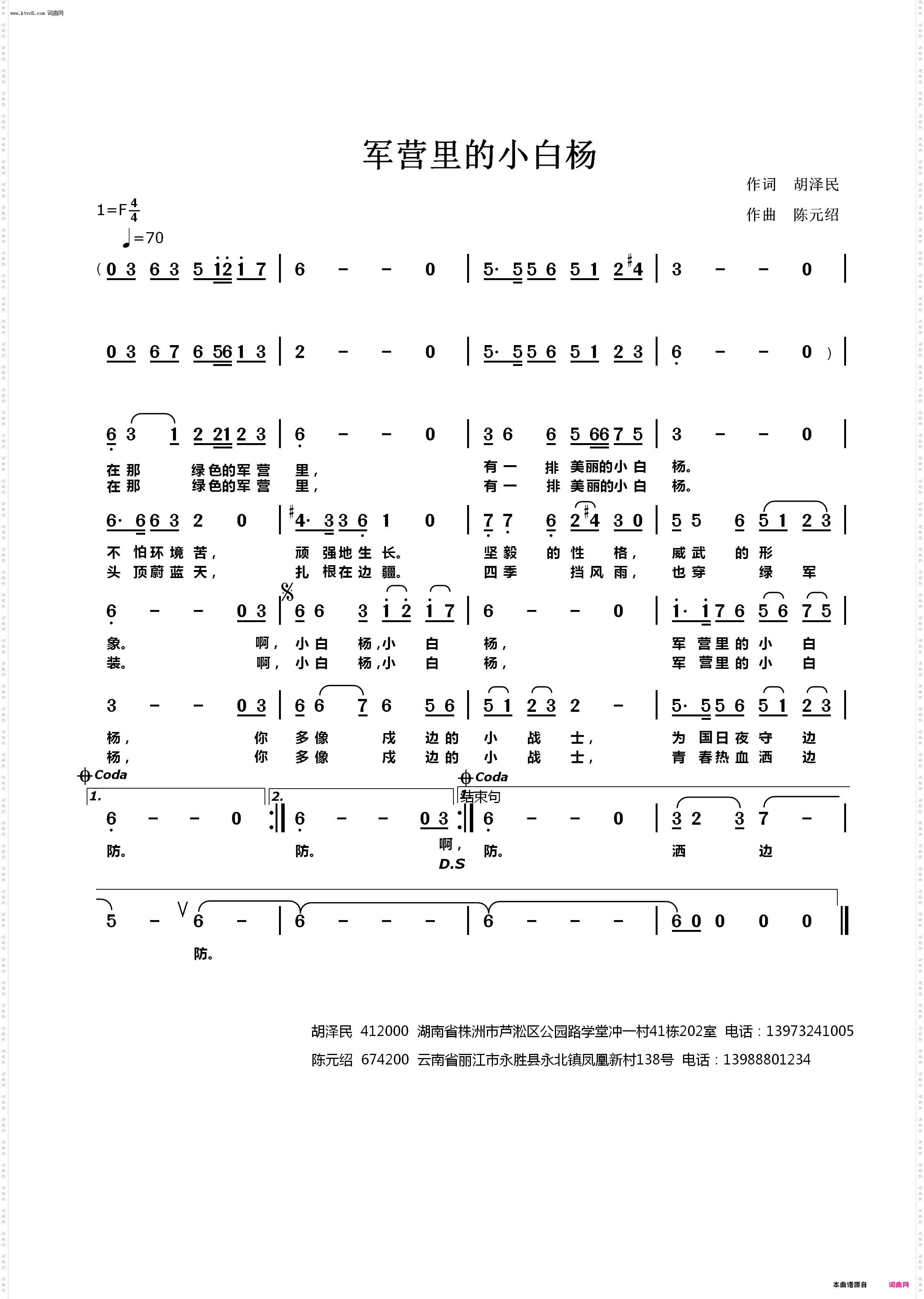 军营里的小白杨