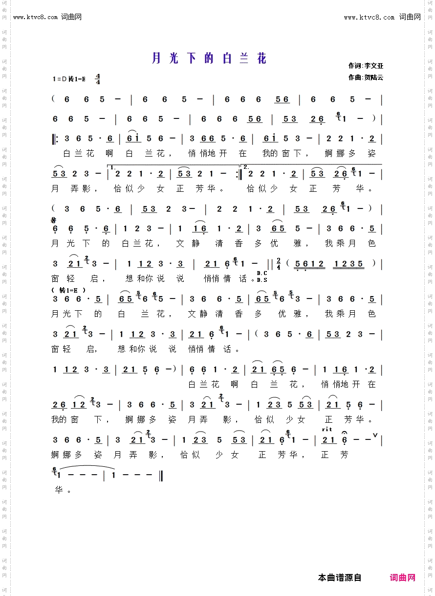 月光下的白兰花