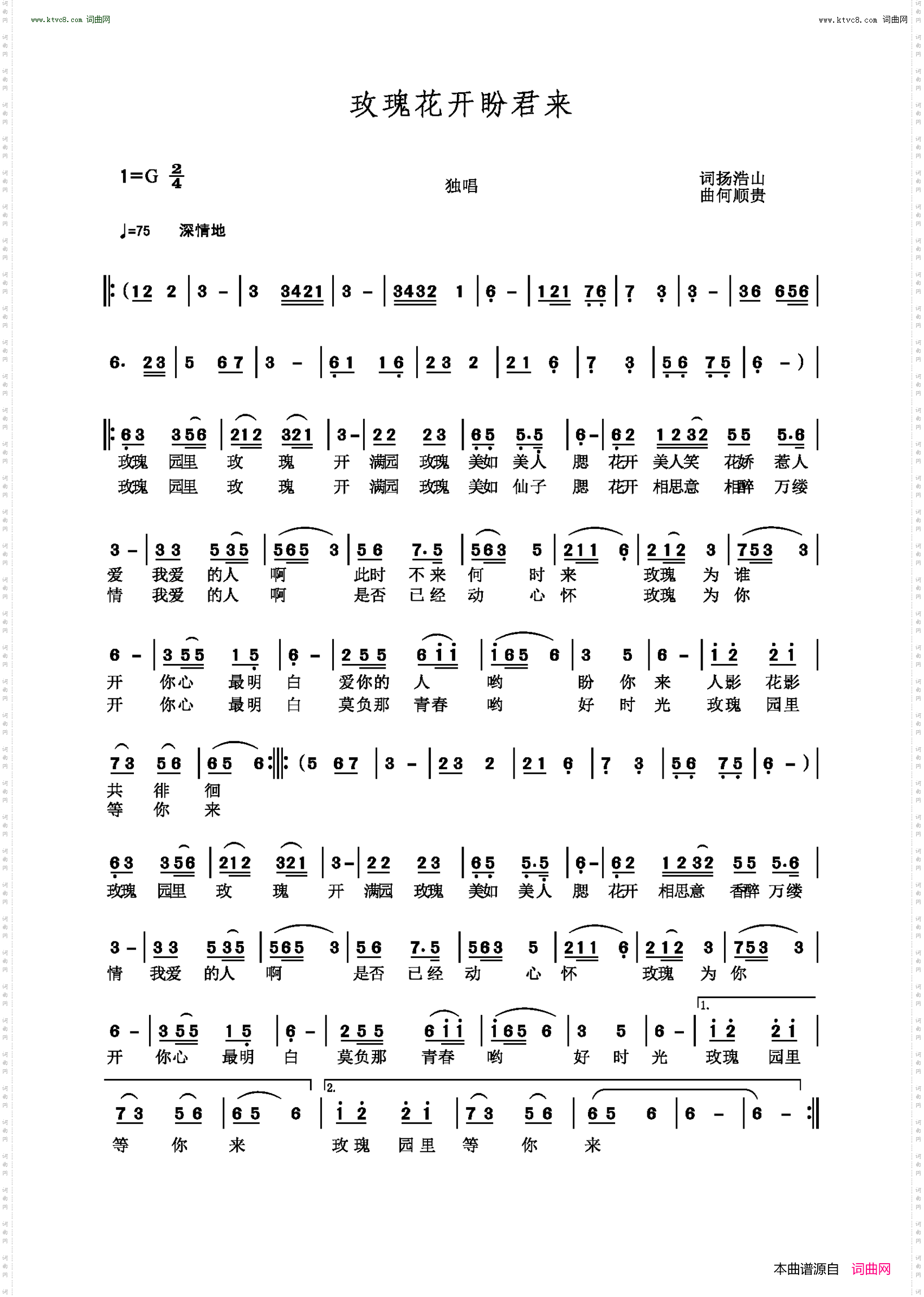 玫瑰花开盼君来