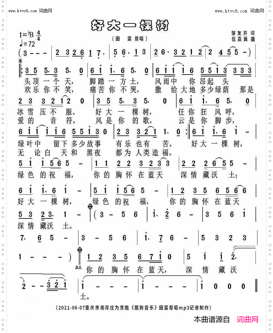 好大一棵树_田震原唱
