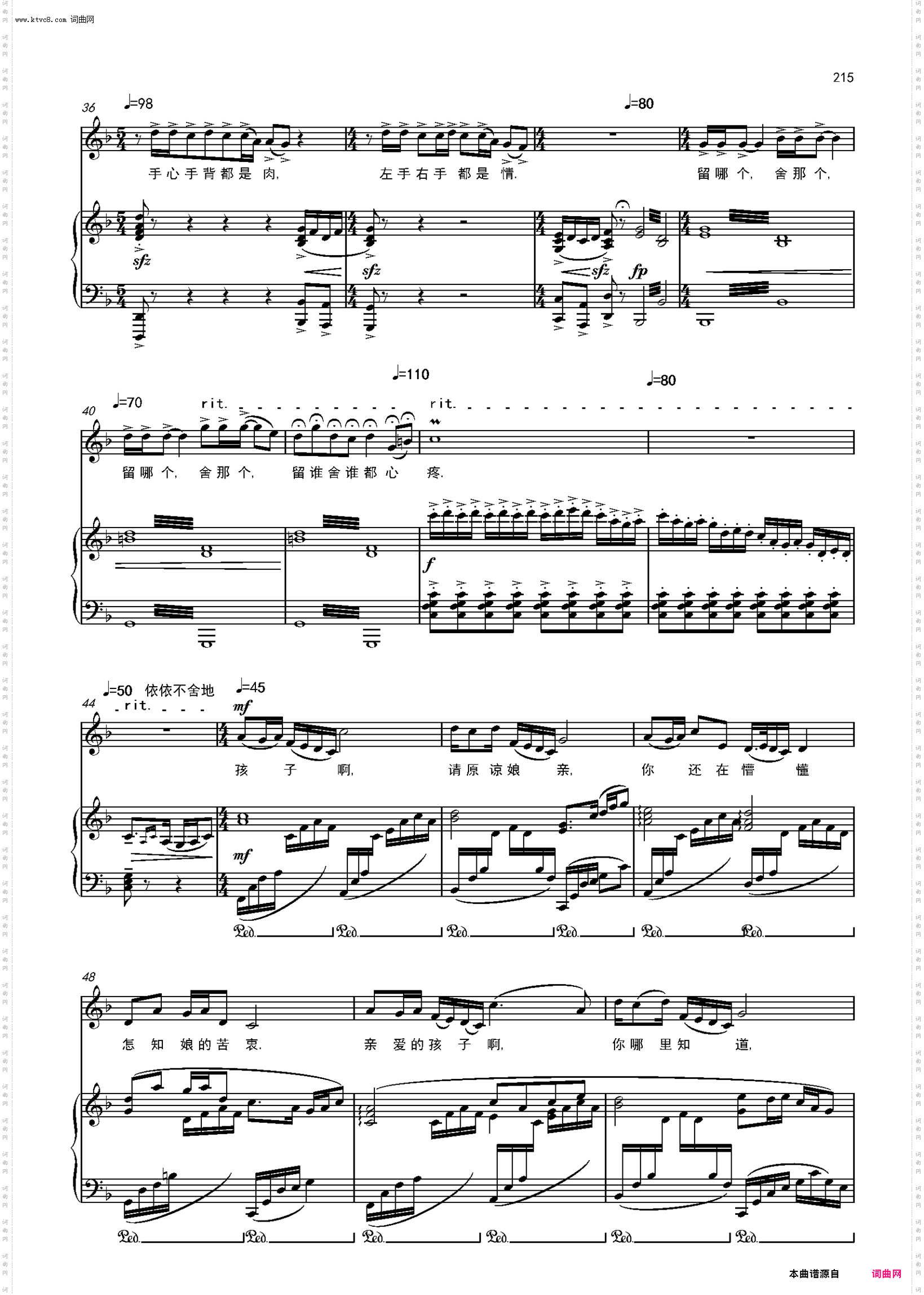 苍天把眼睁一睁_歌剧《沂蒙山》选段