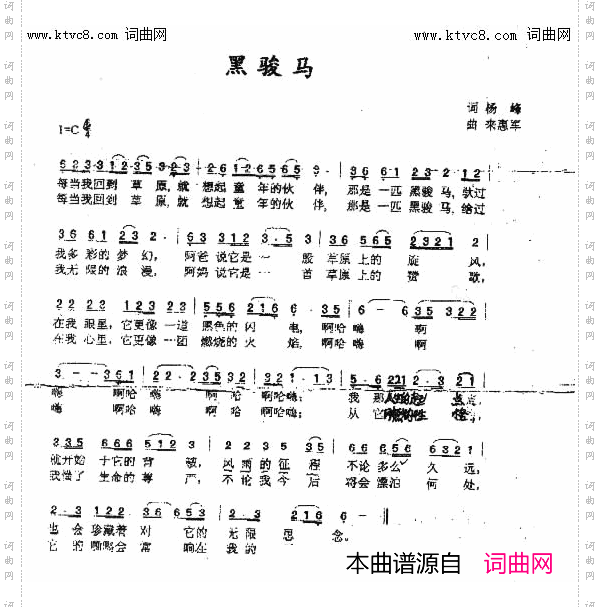 黑骏马
