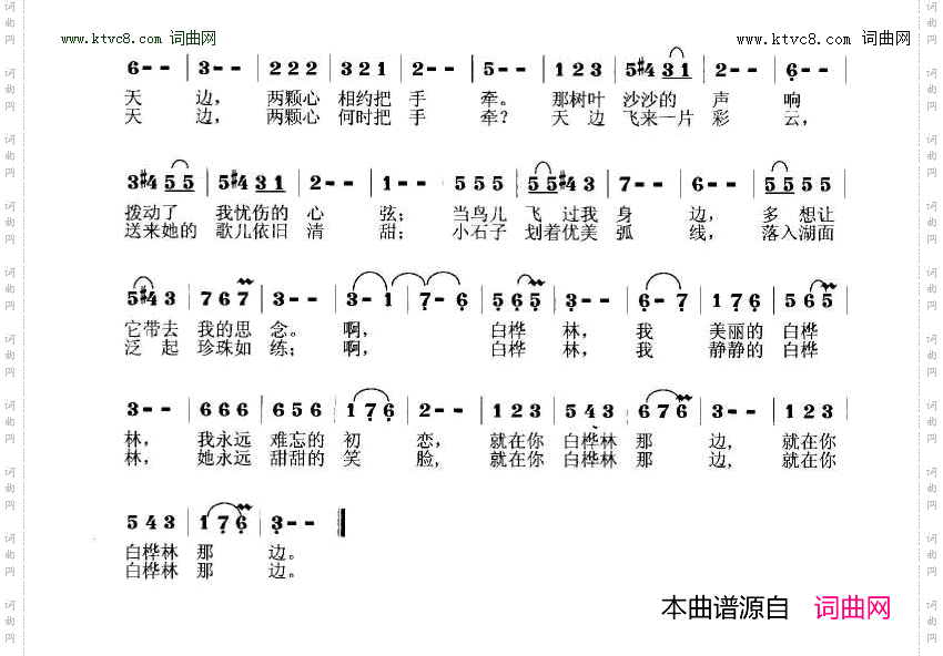 白桦林之恋