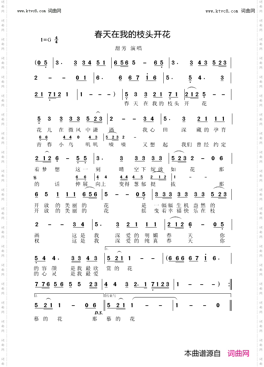 春天在我的枝头开花