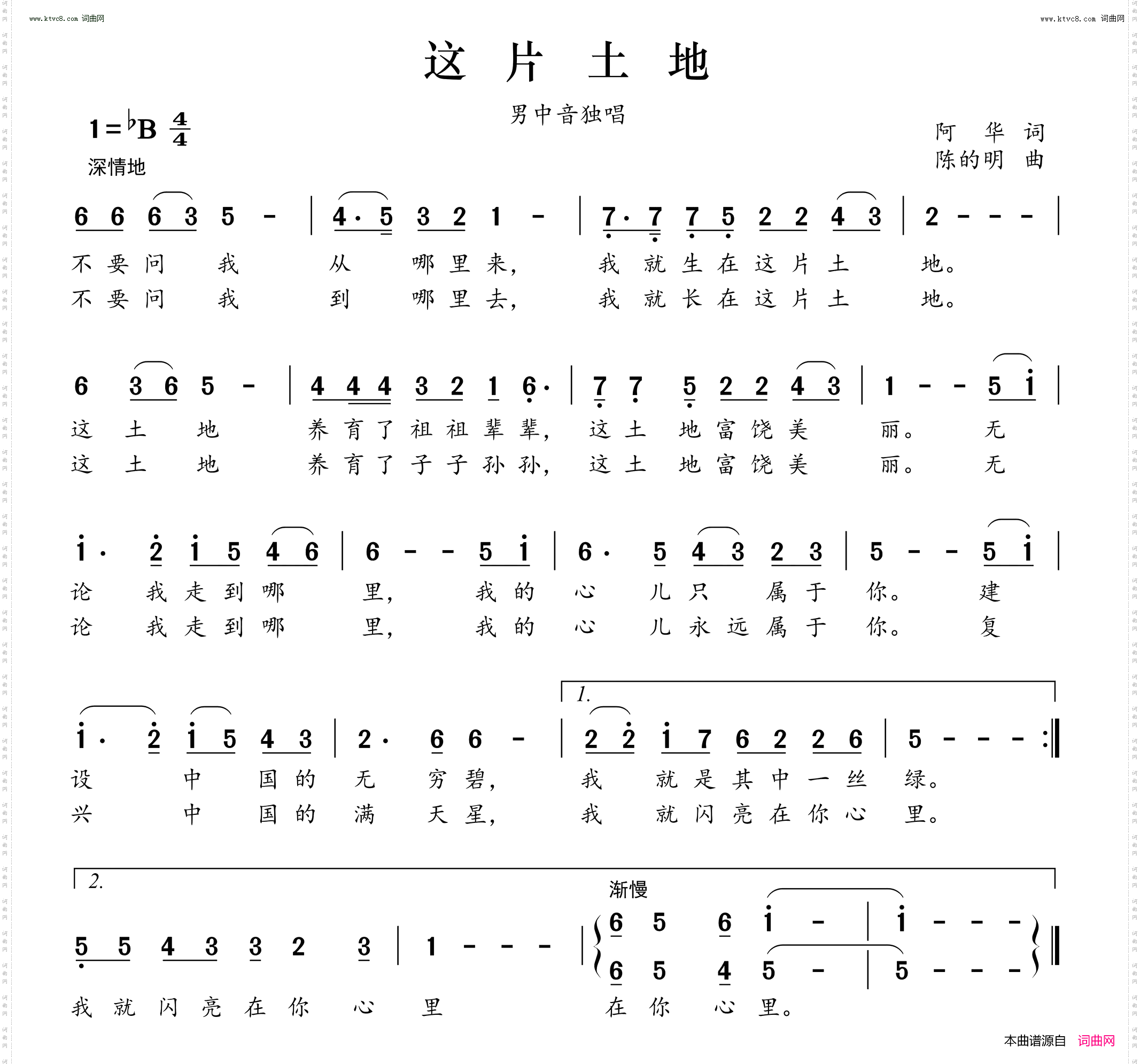 这片土地