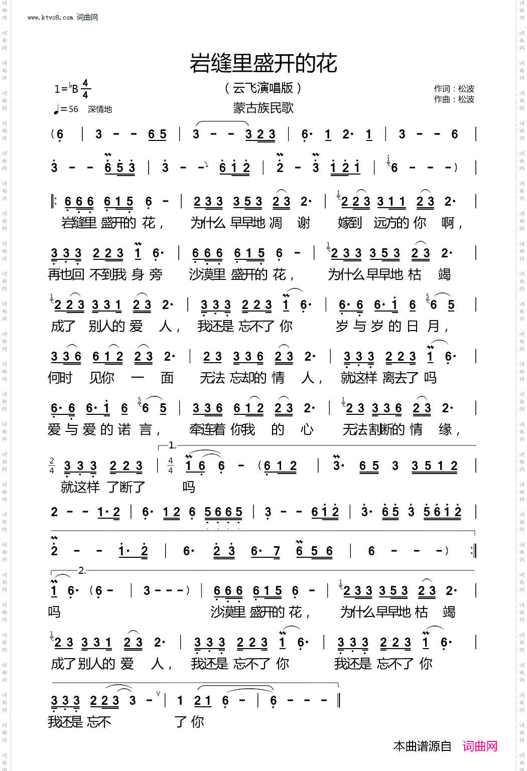 岩缝里盛开的花