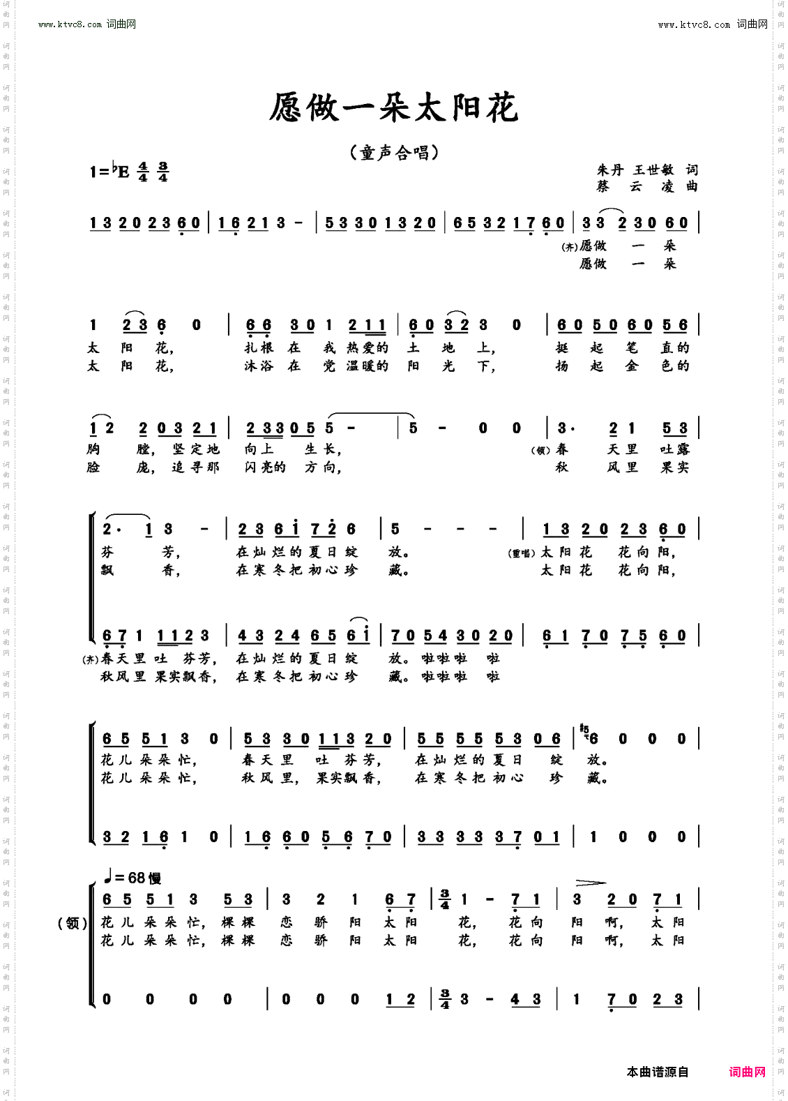 愿做一朵太阳花