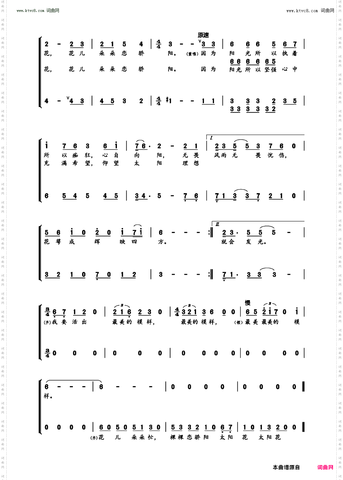 愿做一朵太阳花