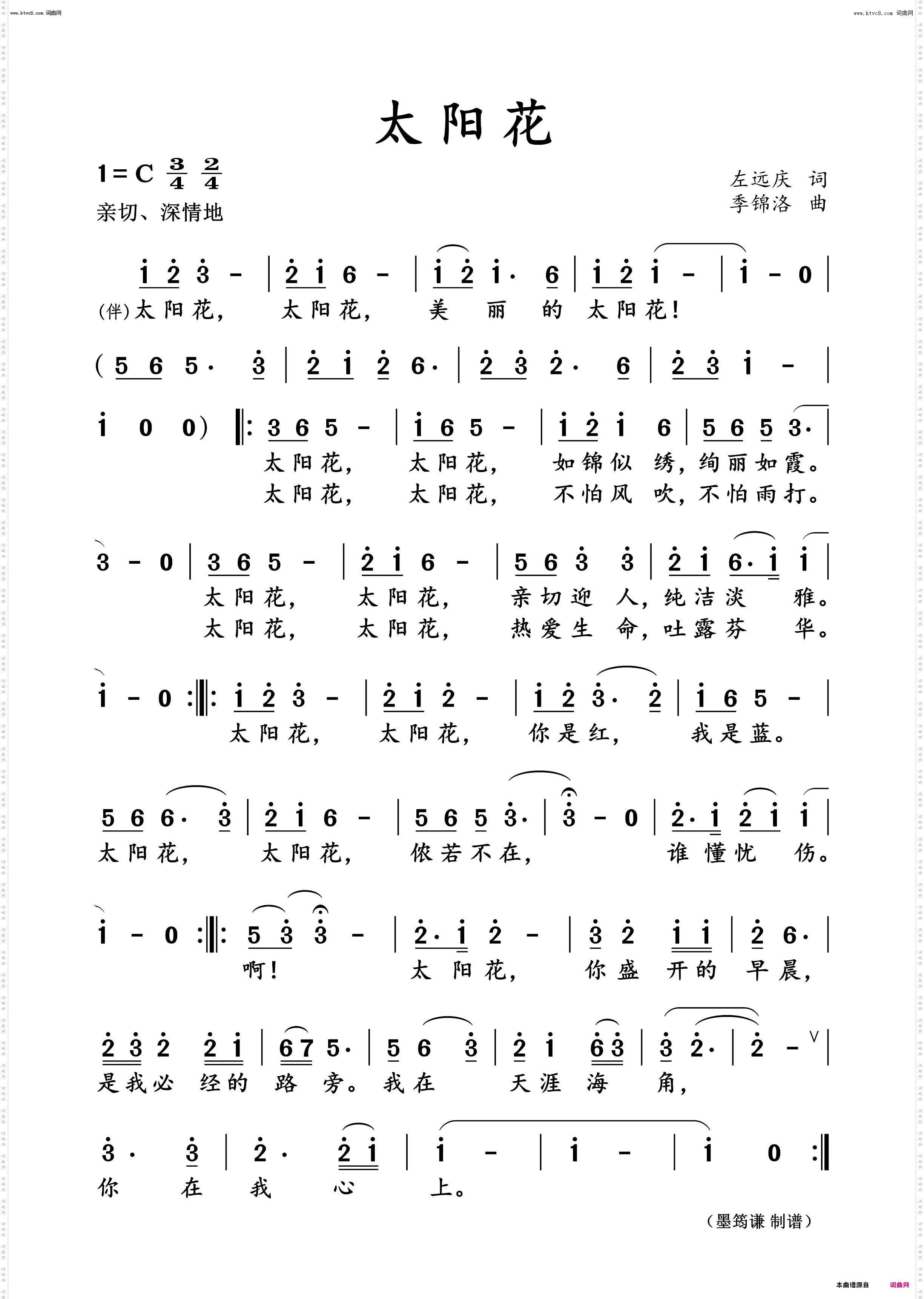 太阳花