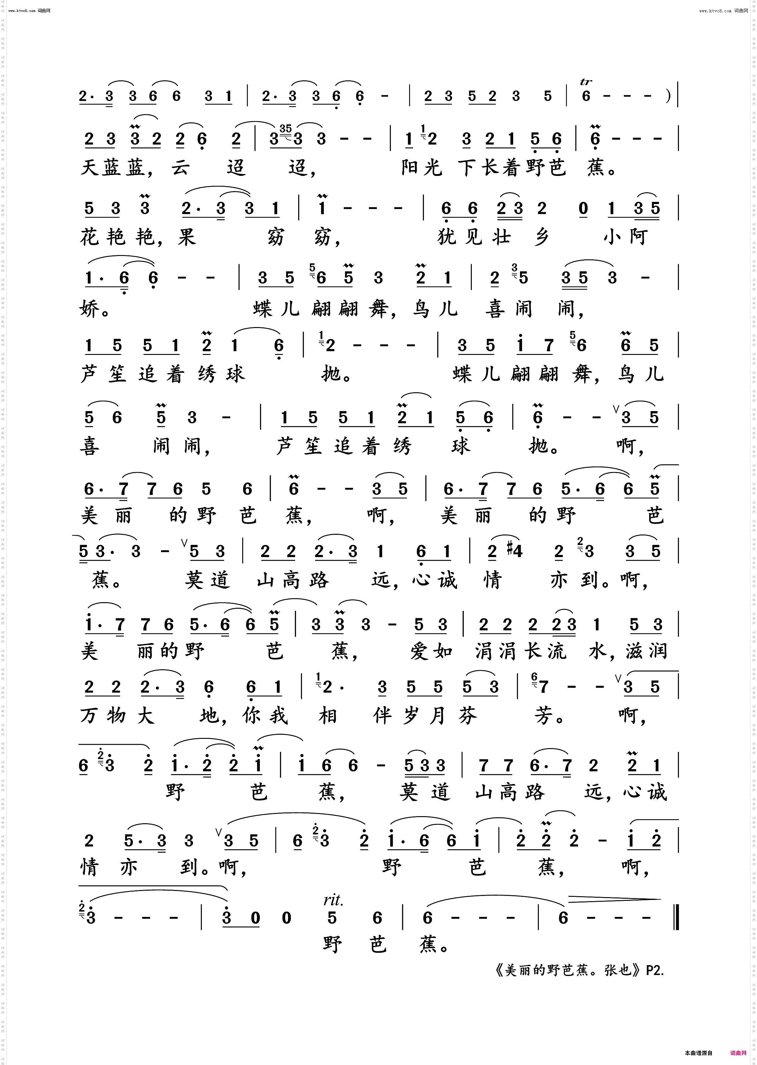 美丽的野芭蕉_张也演唱版