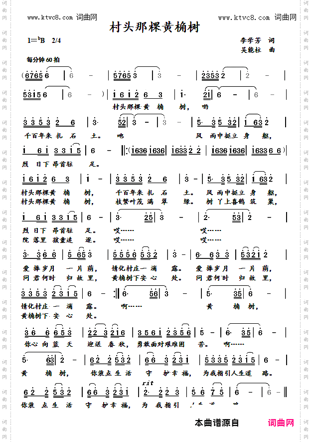 村头那棵黄桷树