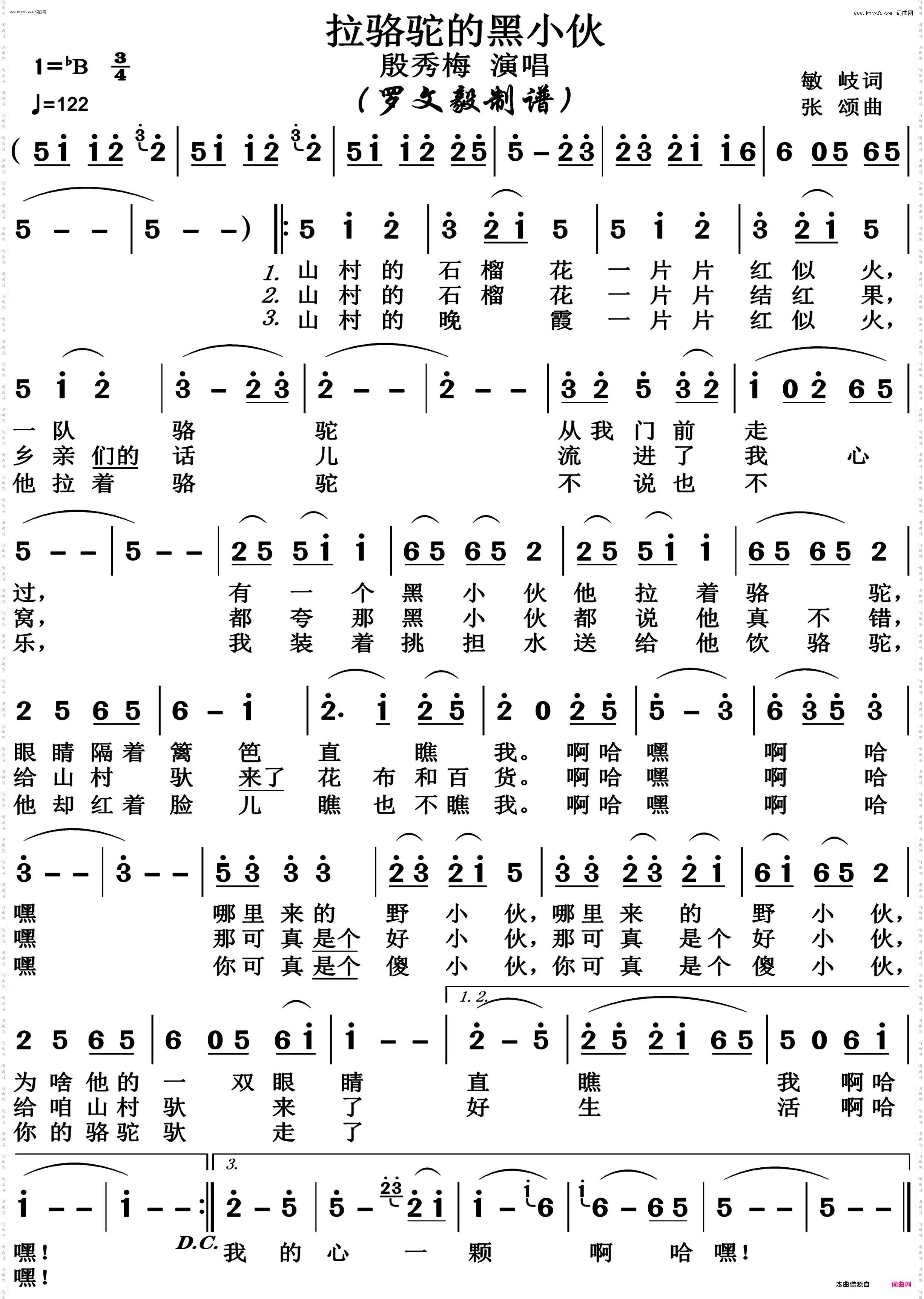 拉骆驼的黑小伙