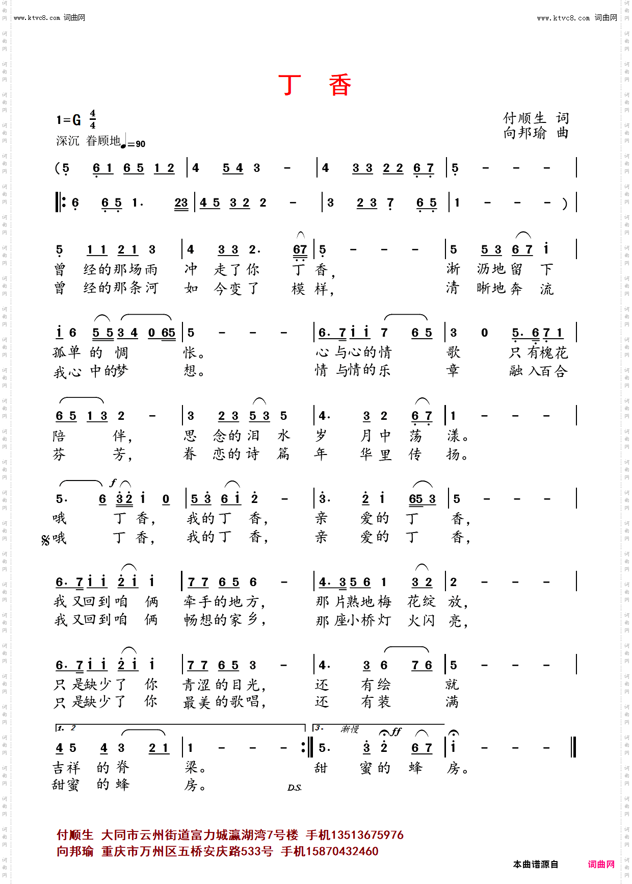 丁香