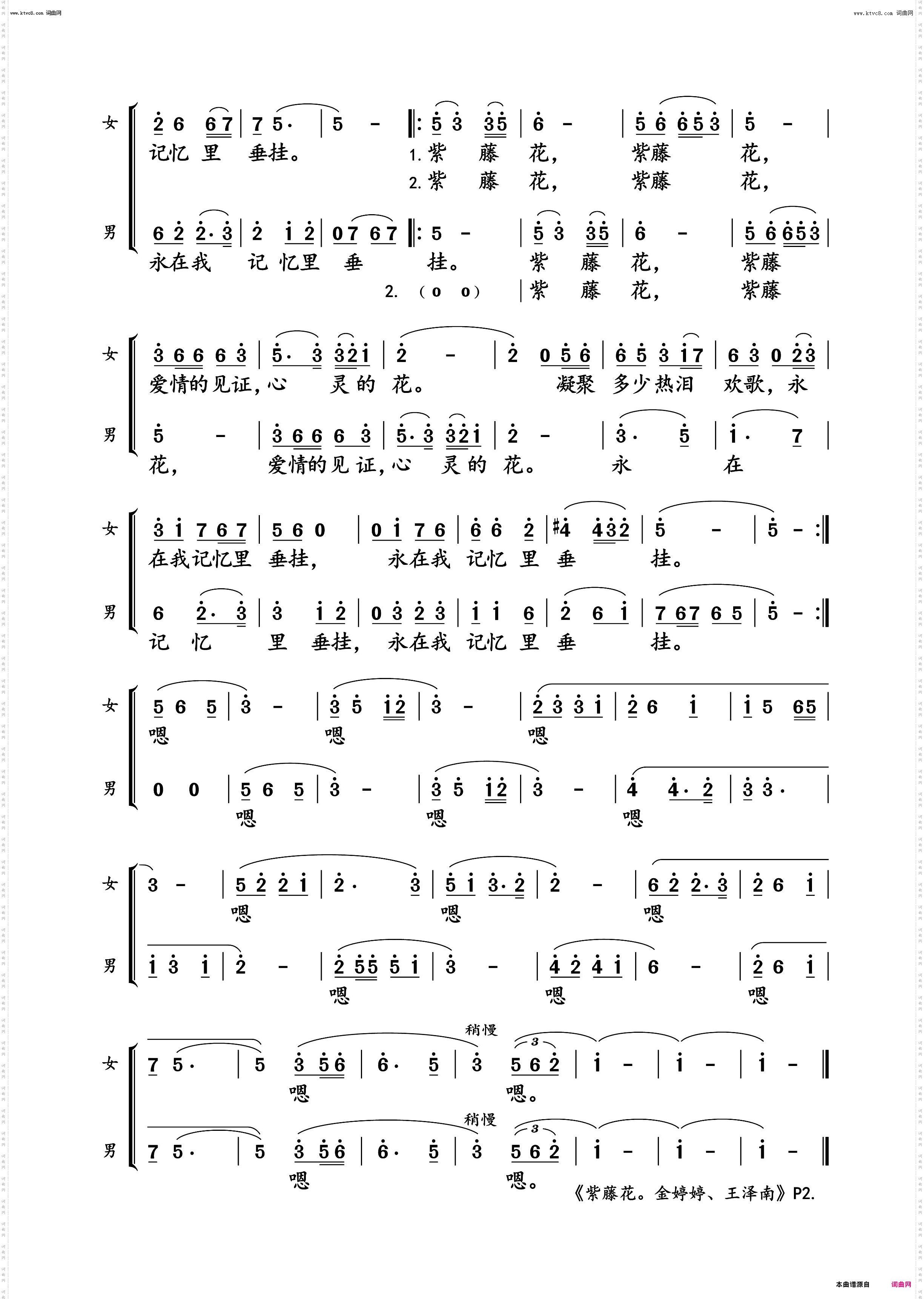 紫藤花_金婷婷、王泽南 演唱谱