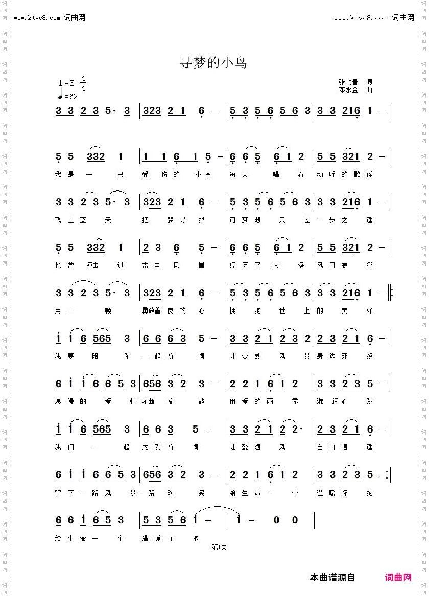 寻梦的小鸟