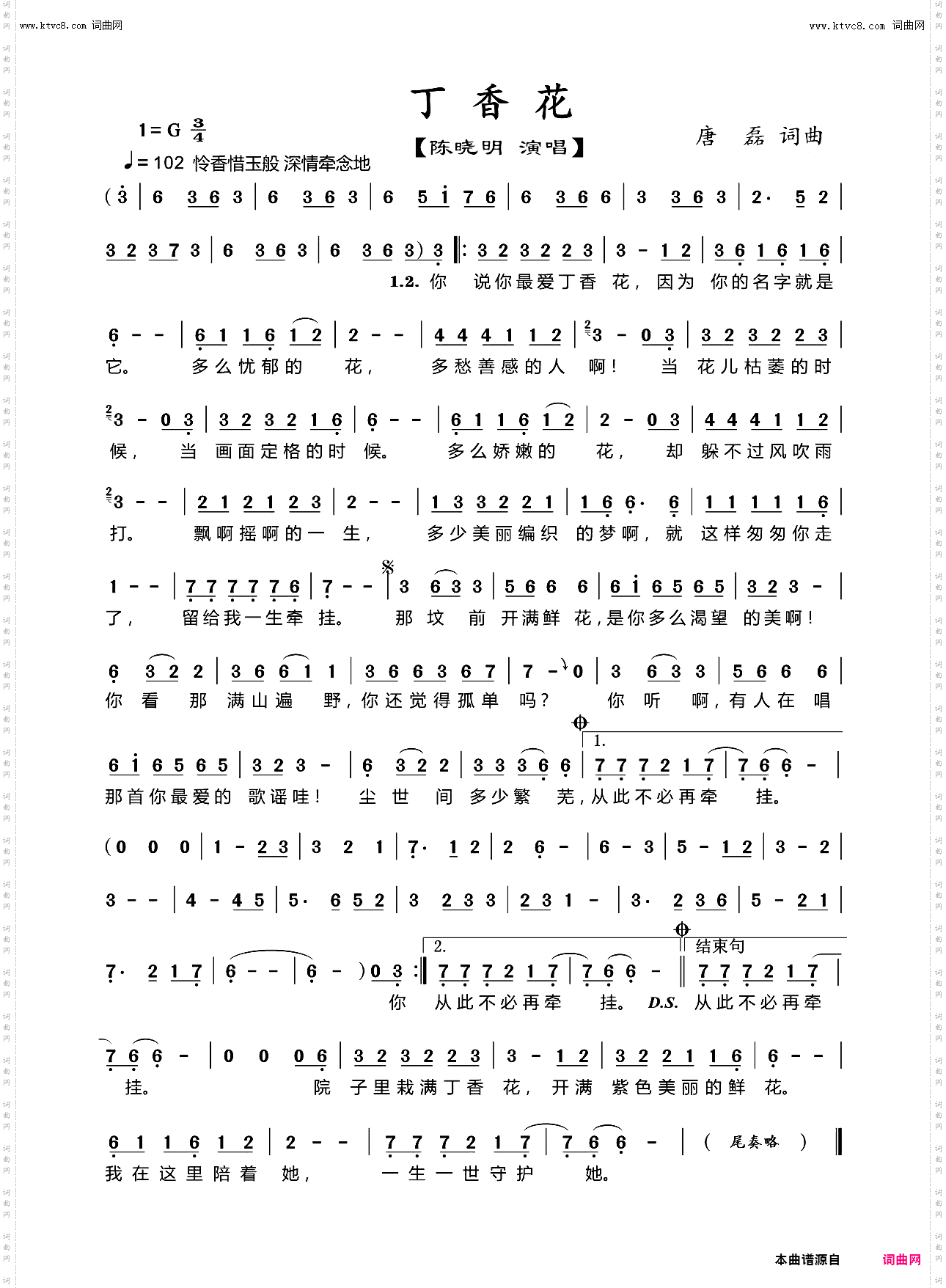 丁香花