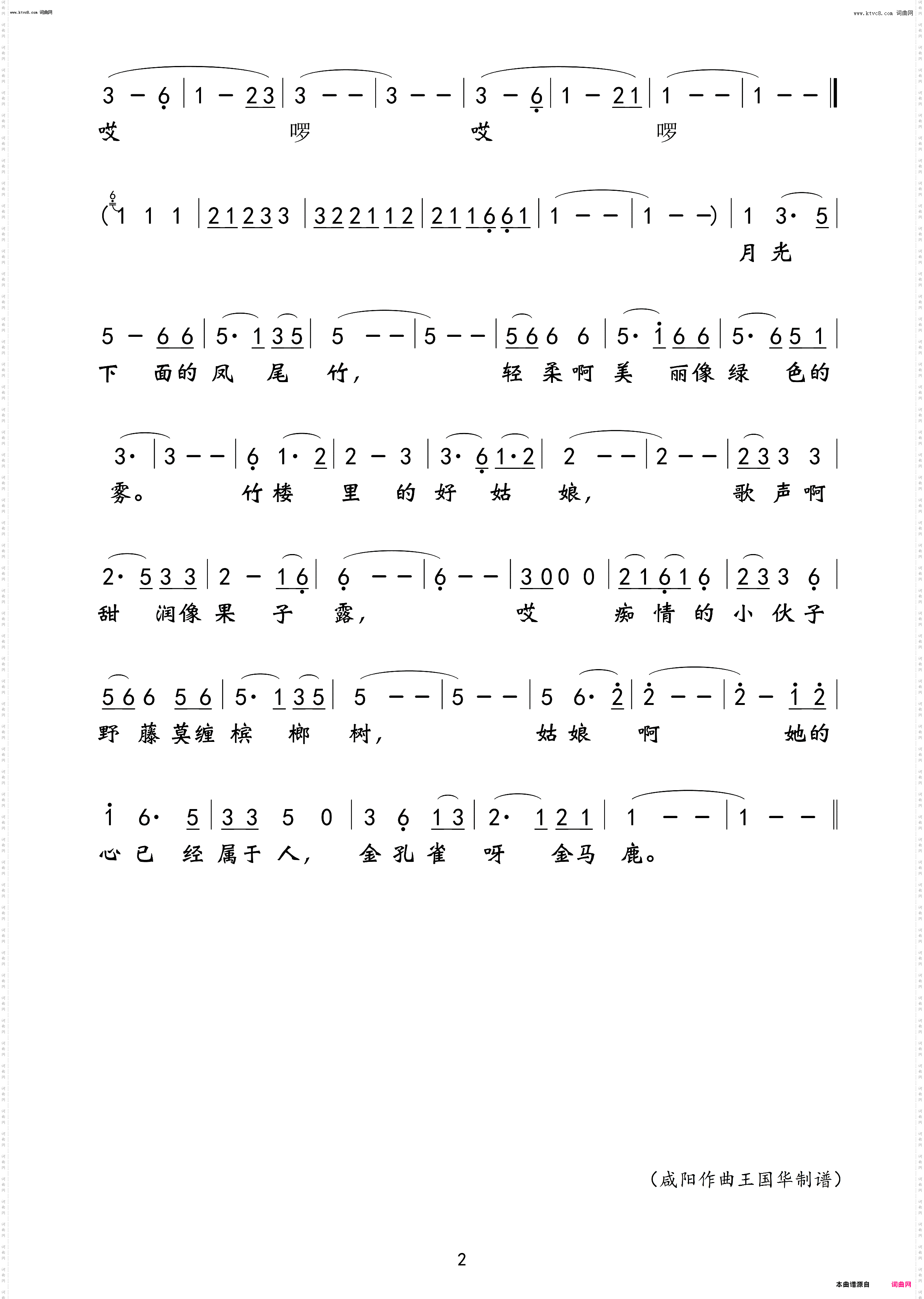 月光下的凤尾竹