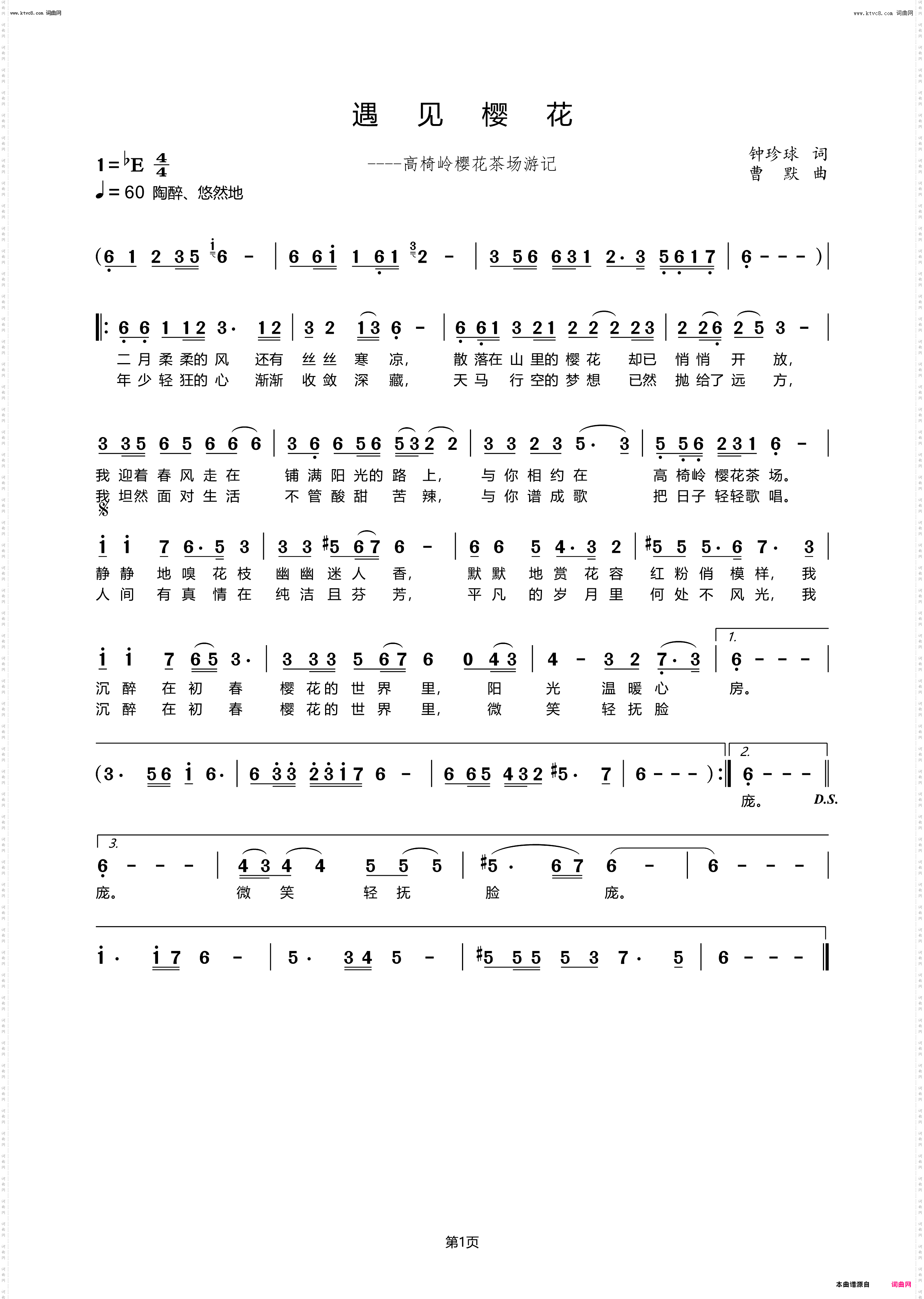 遇见樱花_高椅岭樱花茶场游记