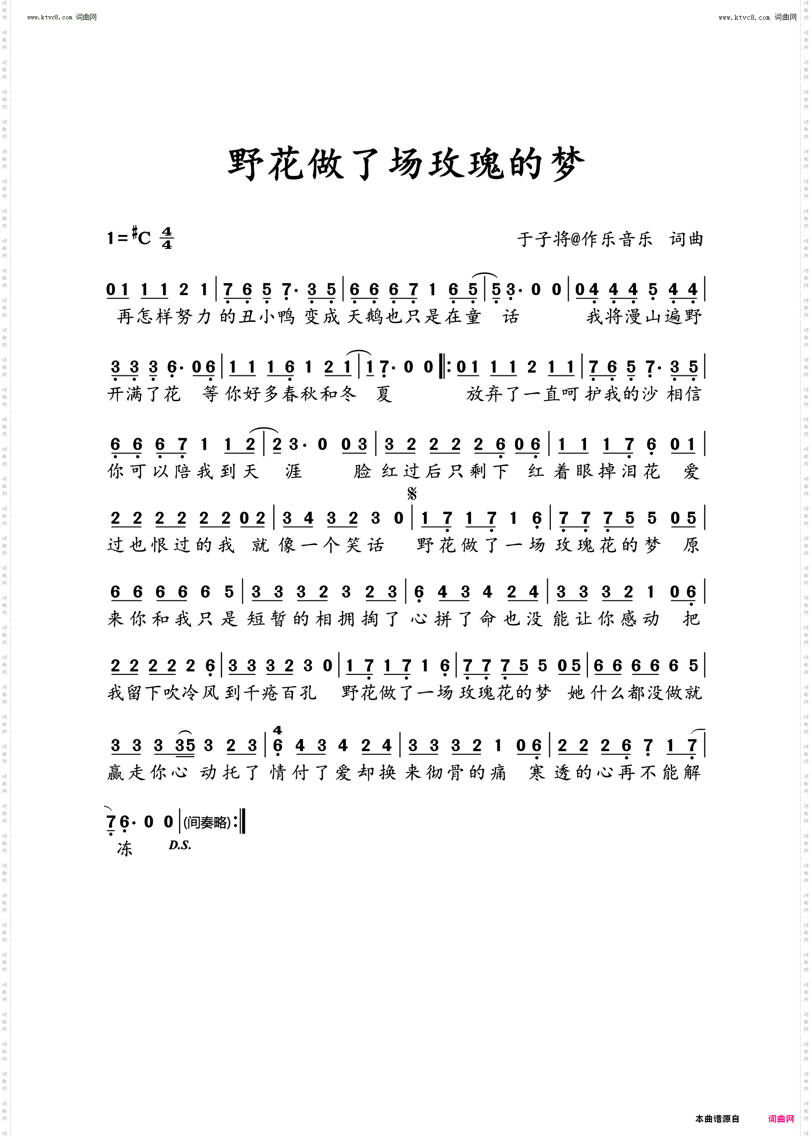 野花做了场玫瑰的梦