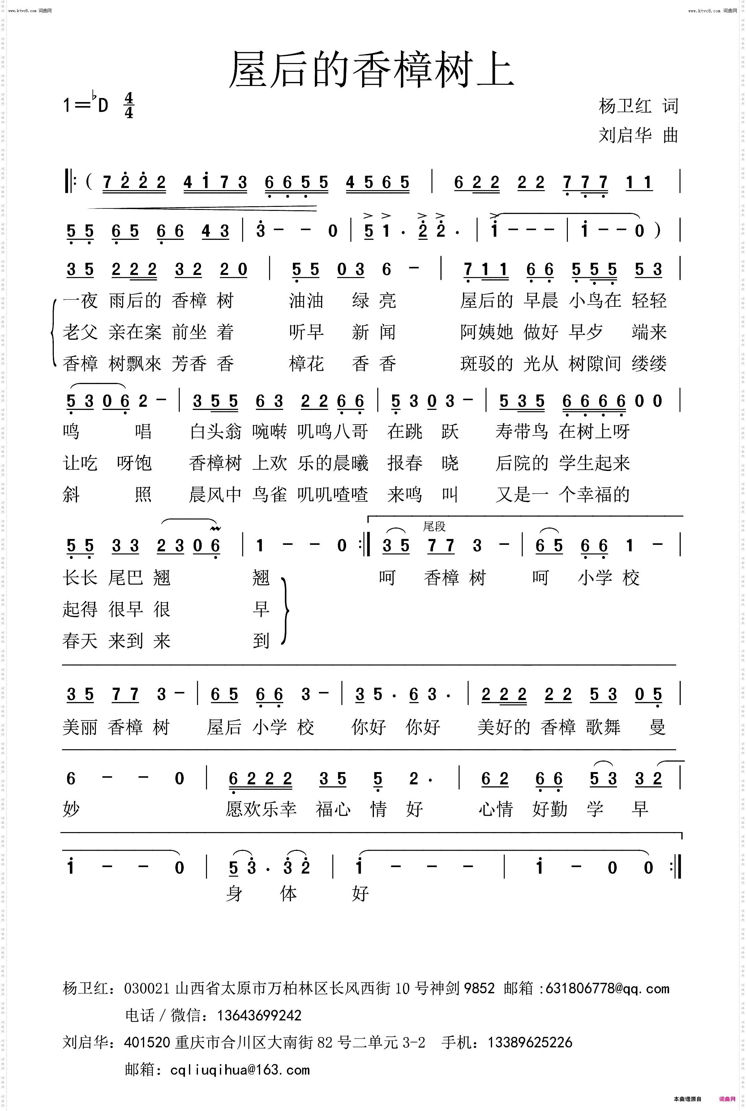 屋后的香樟树上