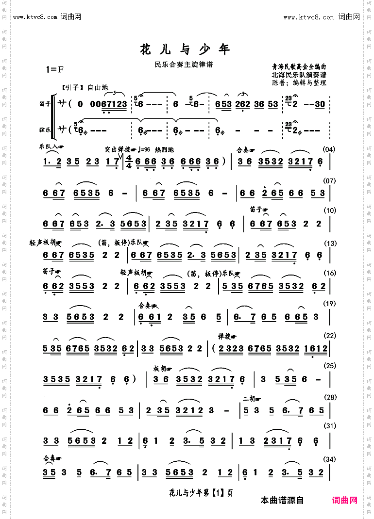 花儿与少年_民乐小合奏