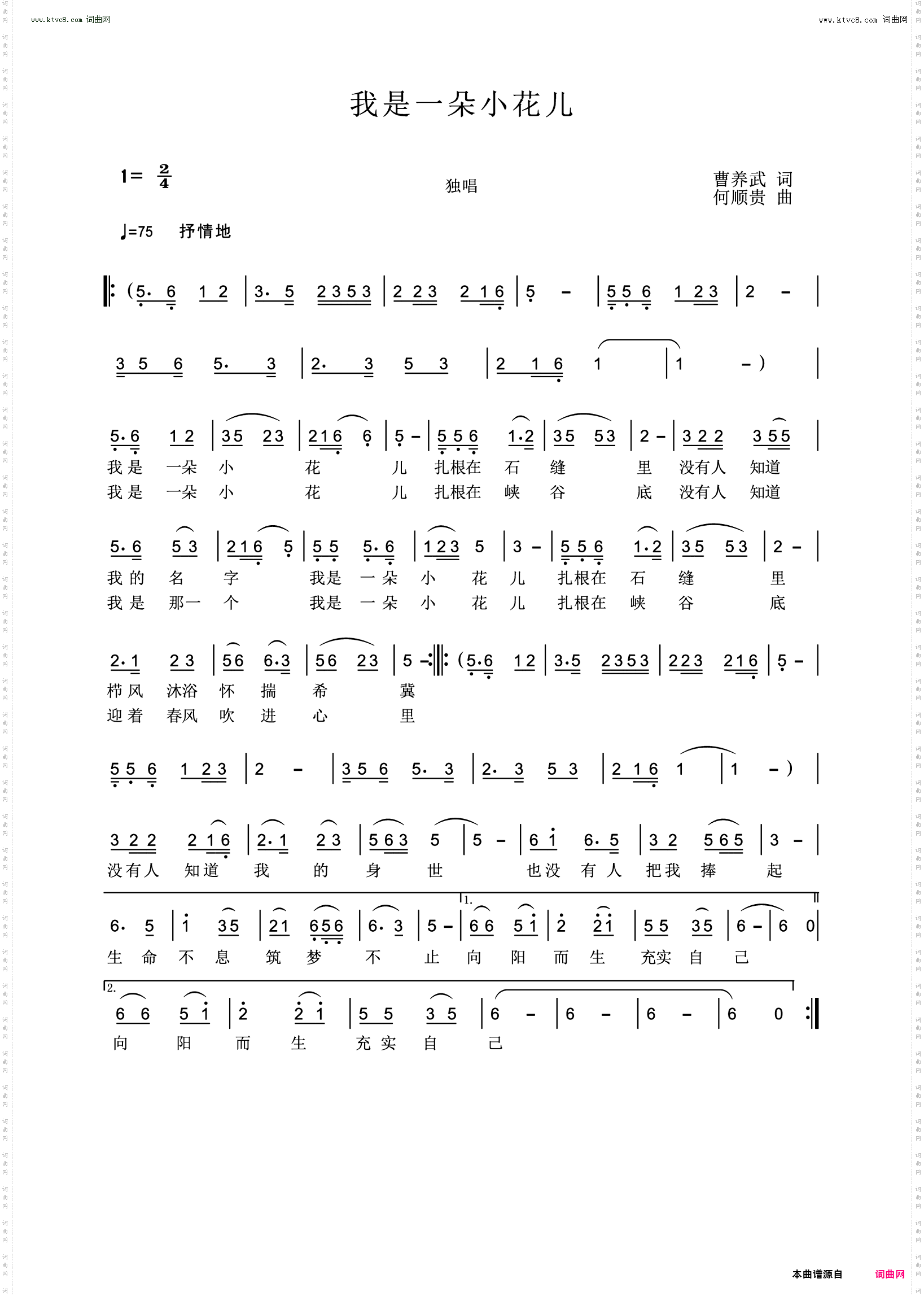 我是一朵小花儿