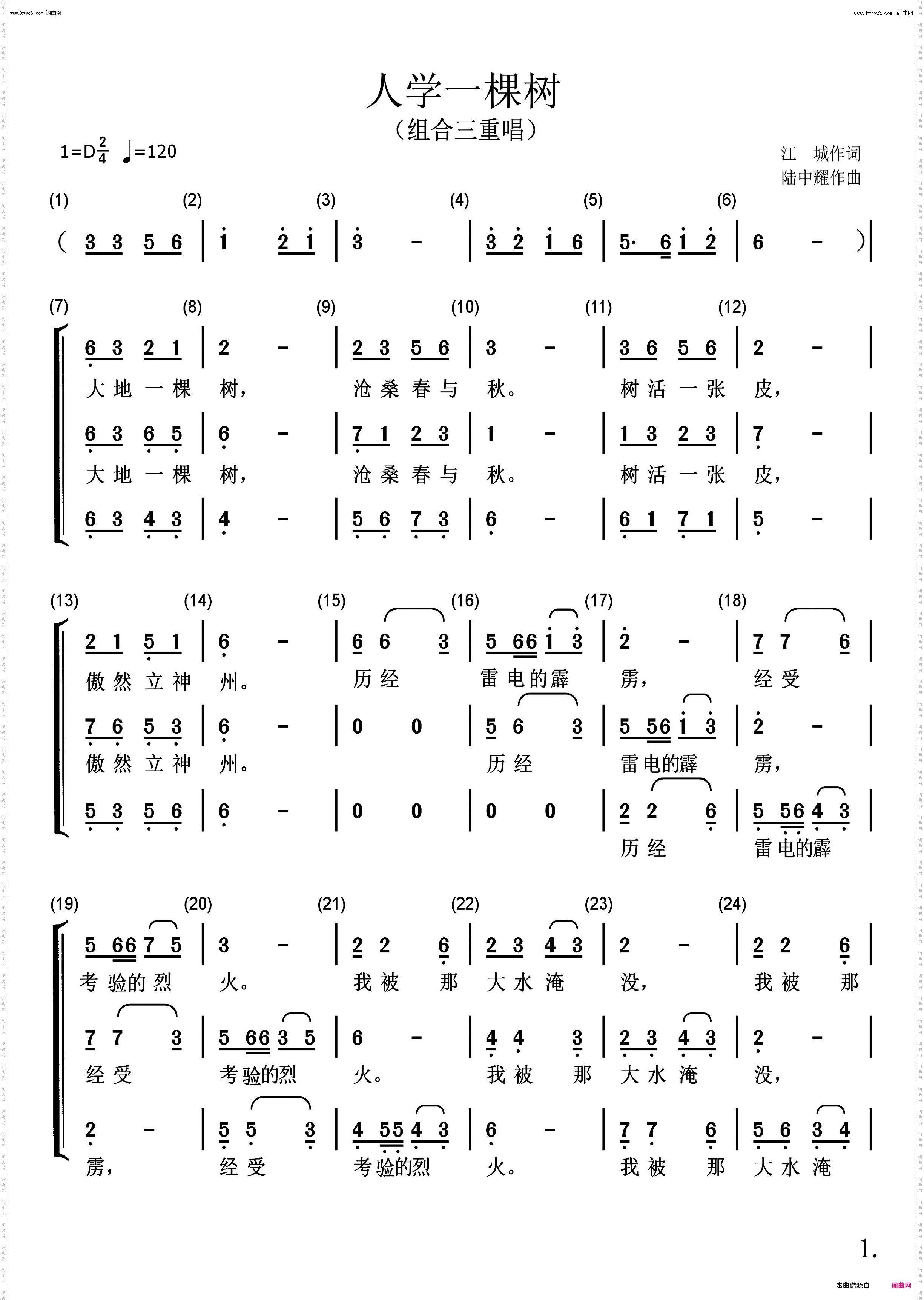 人学一棵树_组合三重唱