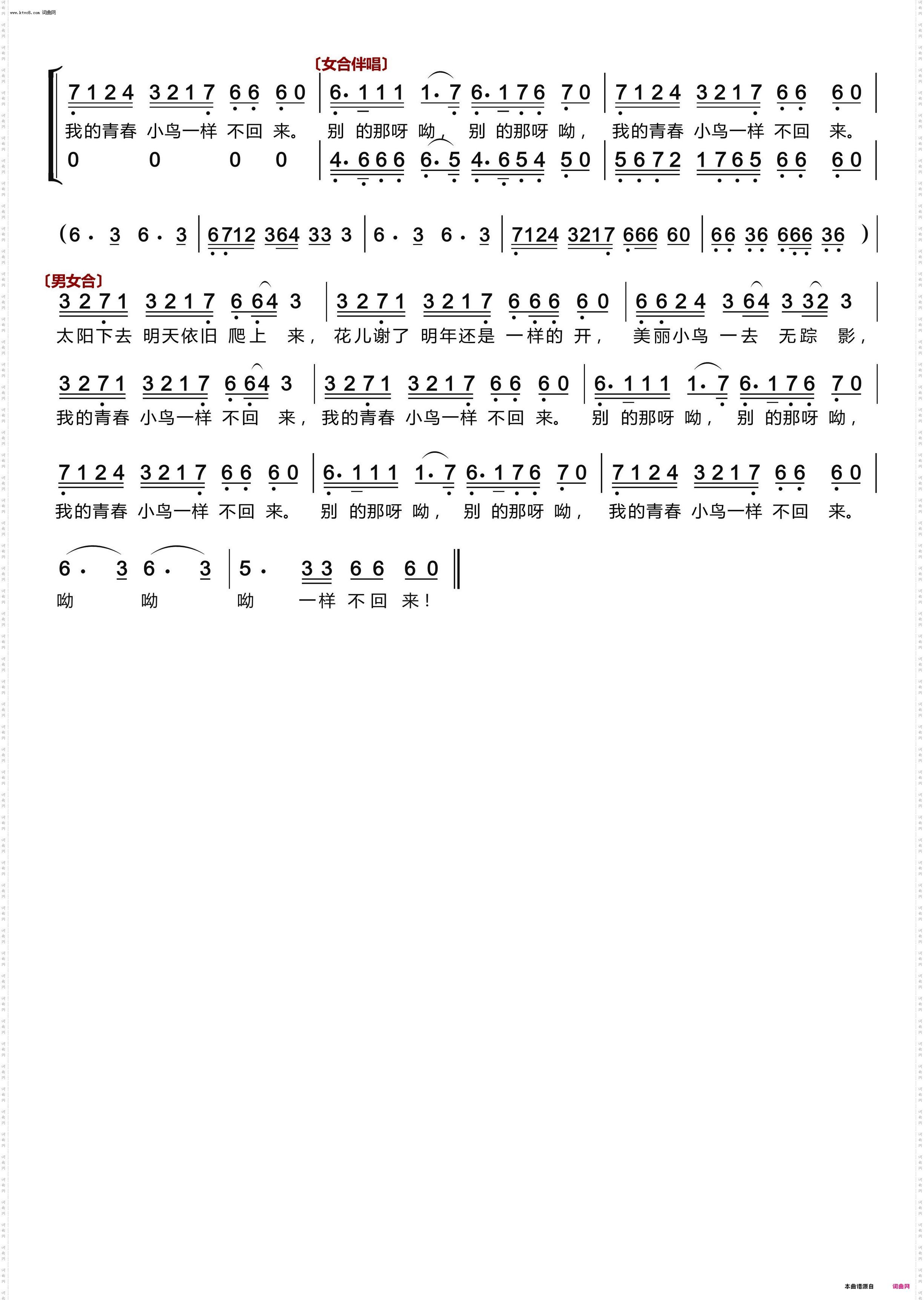 青春舞曲·〔独唱、伴唱〕_王洛宾歌曲精选·演唱篇