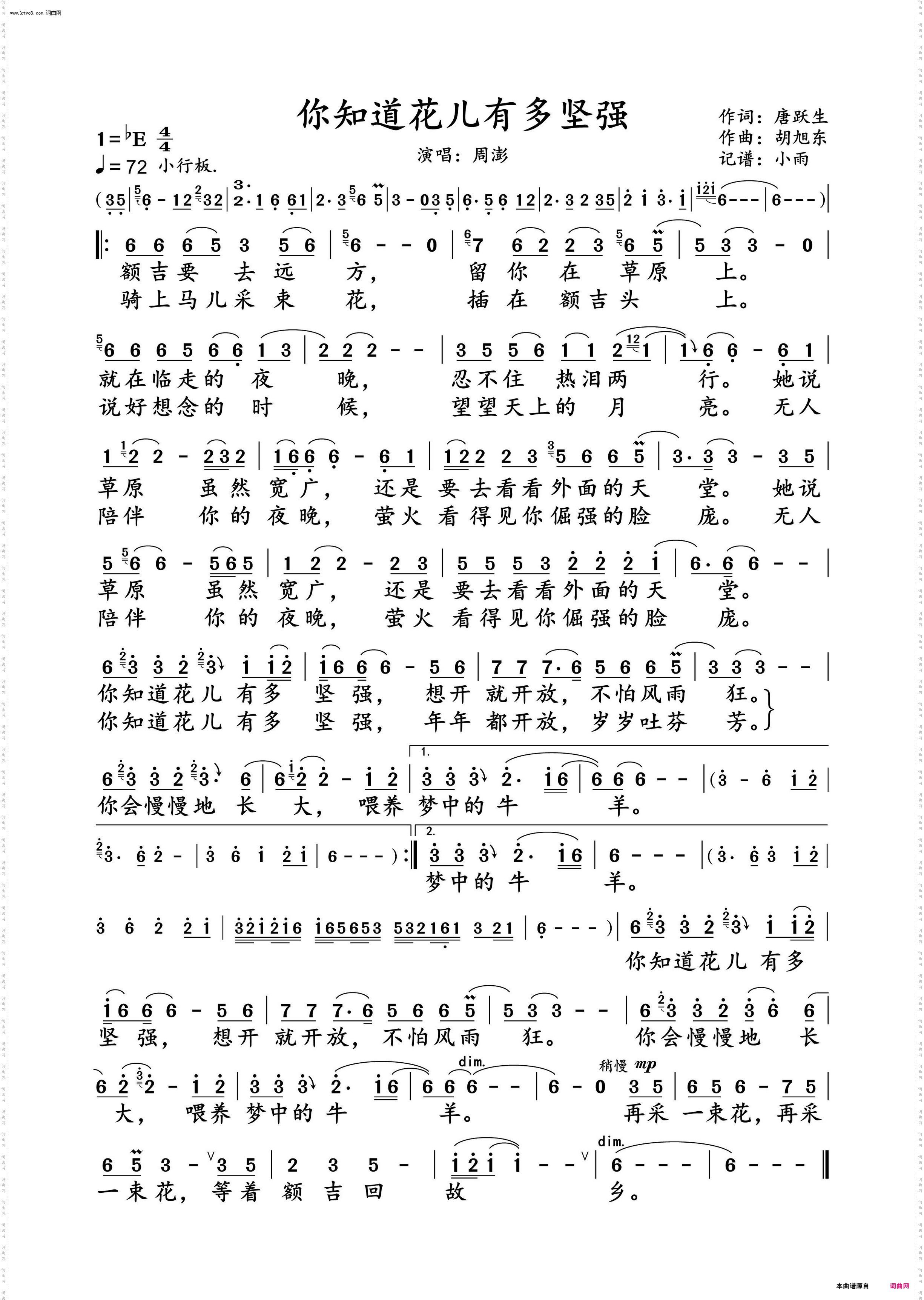 你知道花儿有多坚强_周澎 演唱谱