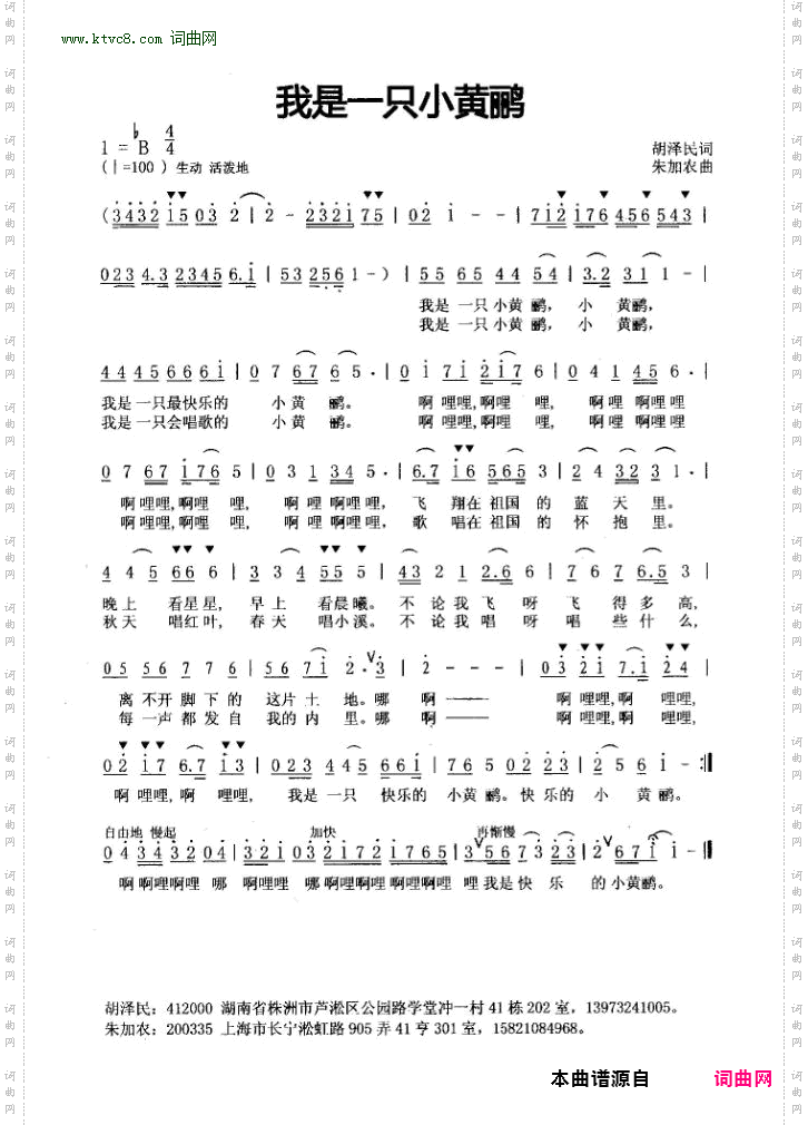 我是一只小黄鹂