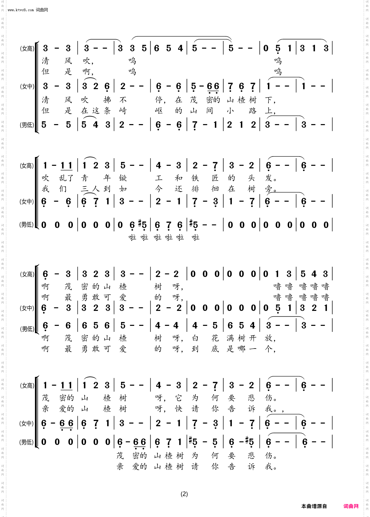 山楂树_梦之旅合唱组合