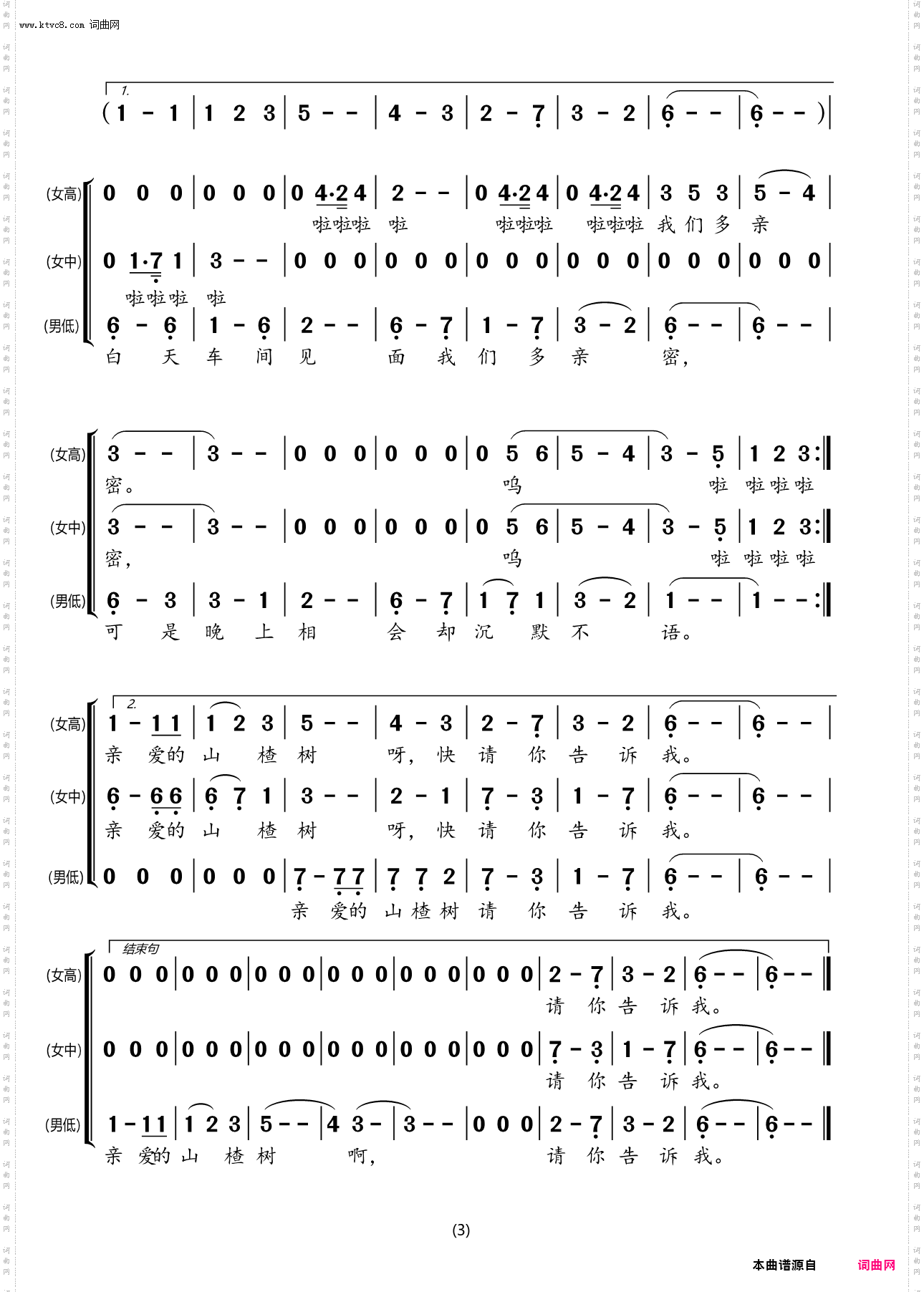山楂树_梦之旅合唱组合