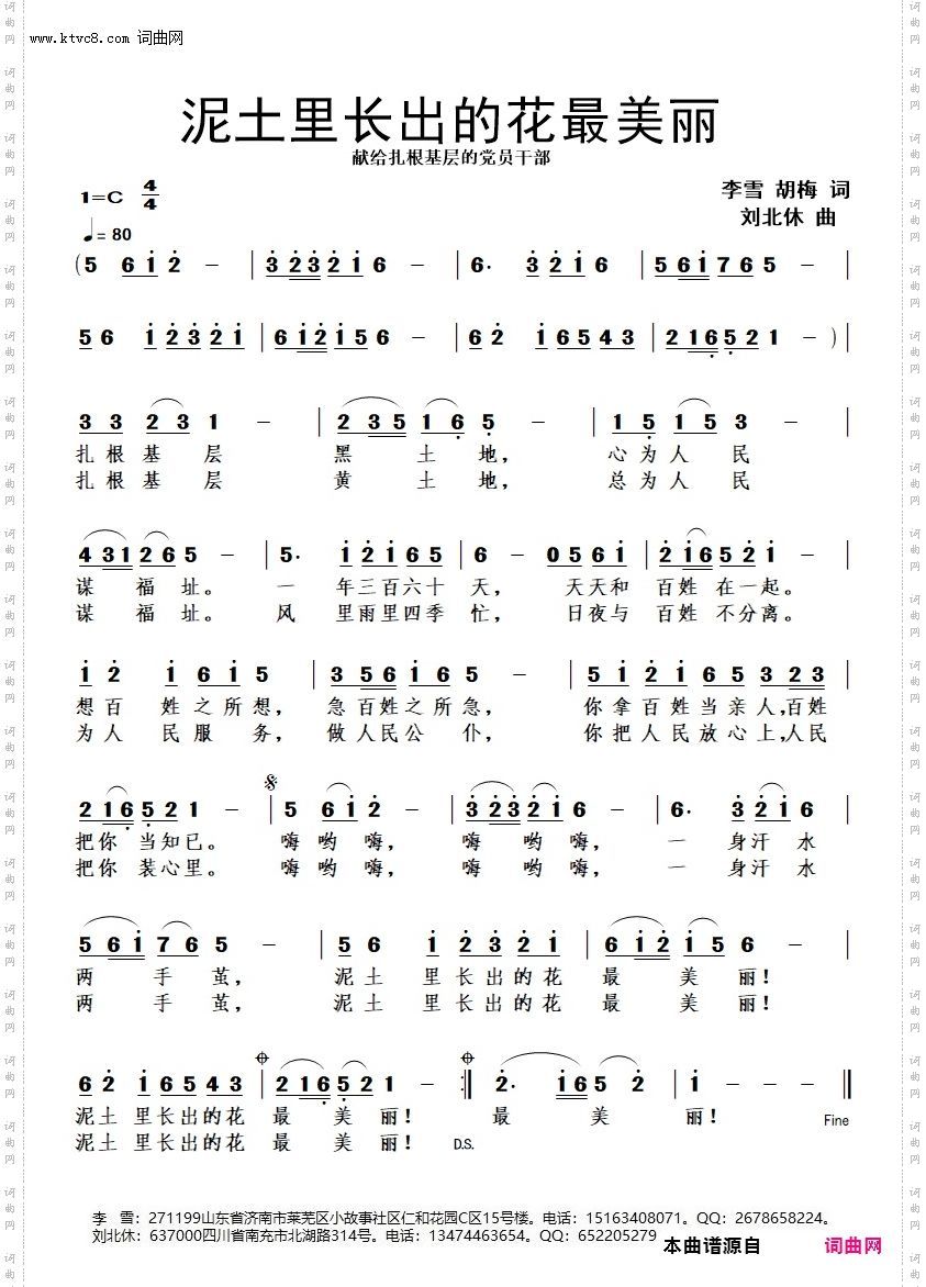 泥土里长出的花最美丽