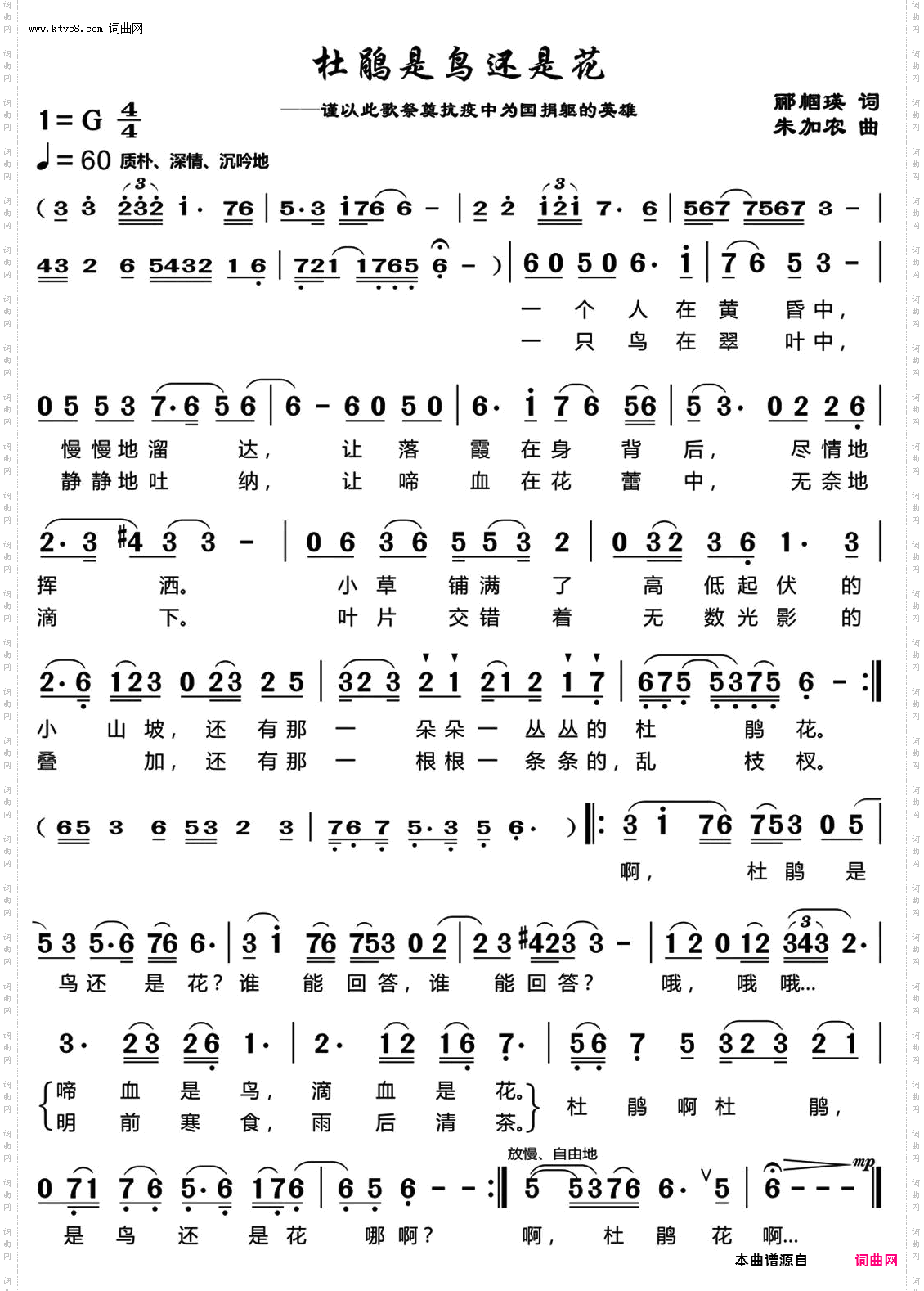 杜鹃是鸟还是花