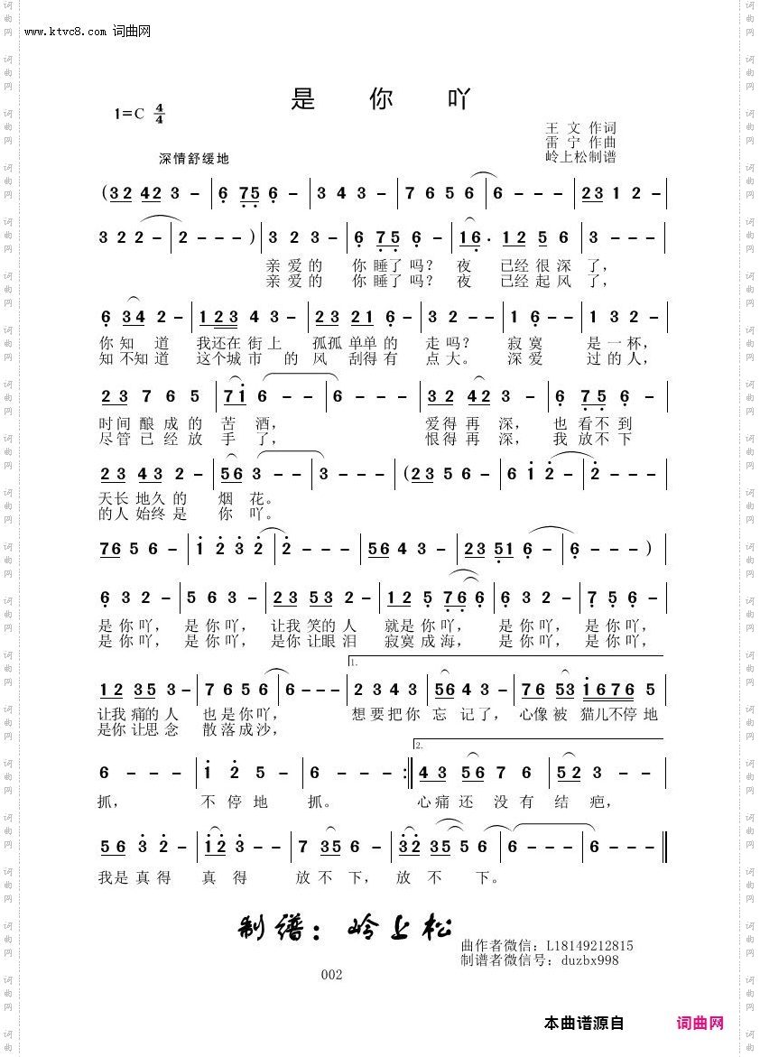 是你吖_雷宁原创专辑