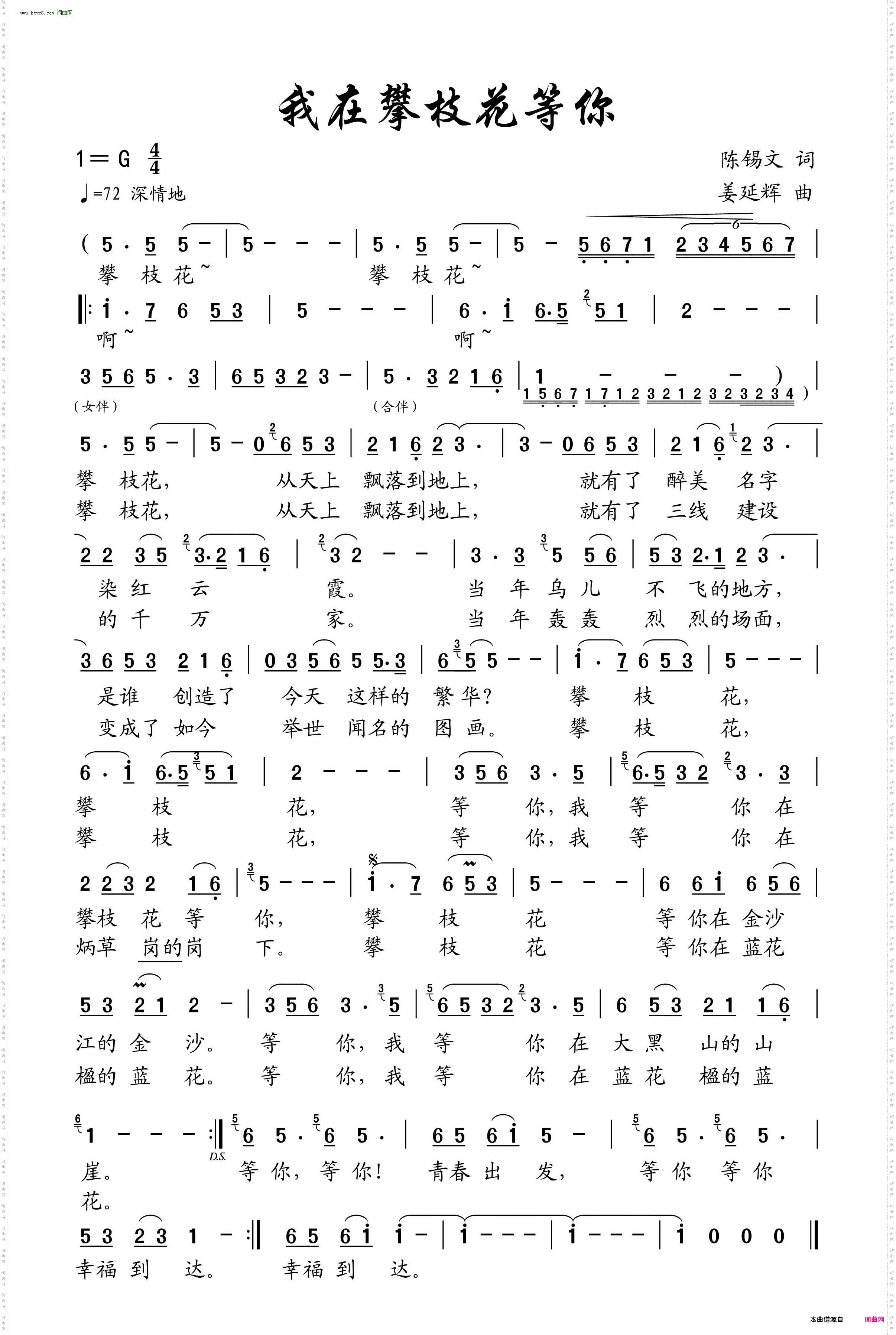 我在攀枝花等你