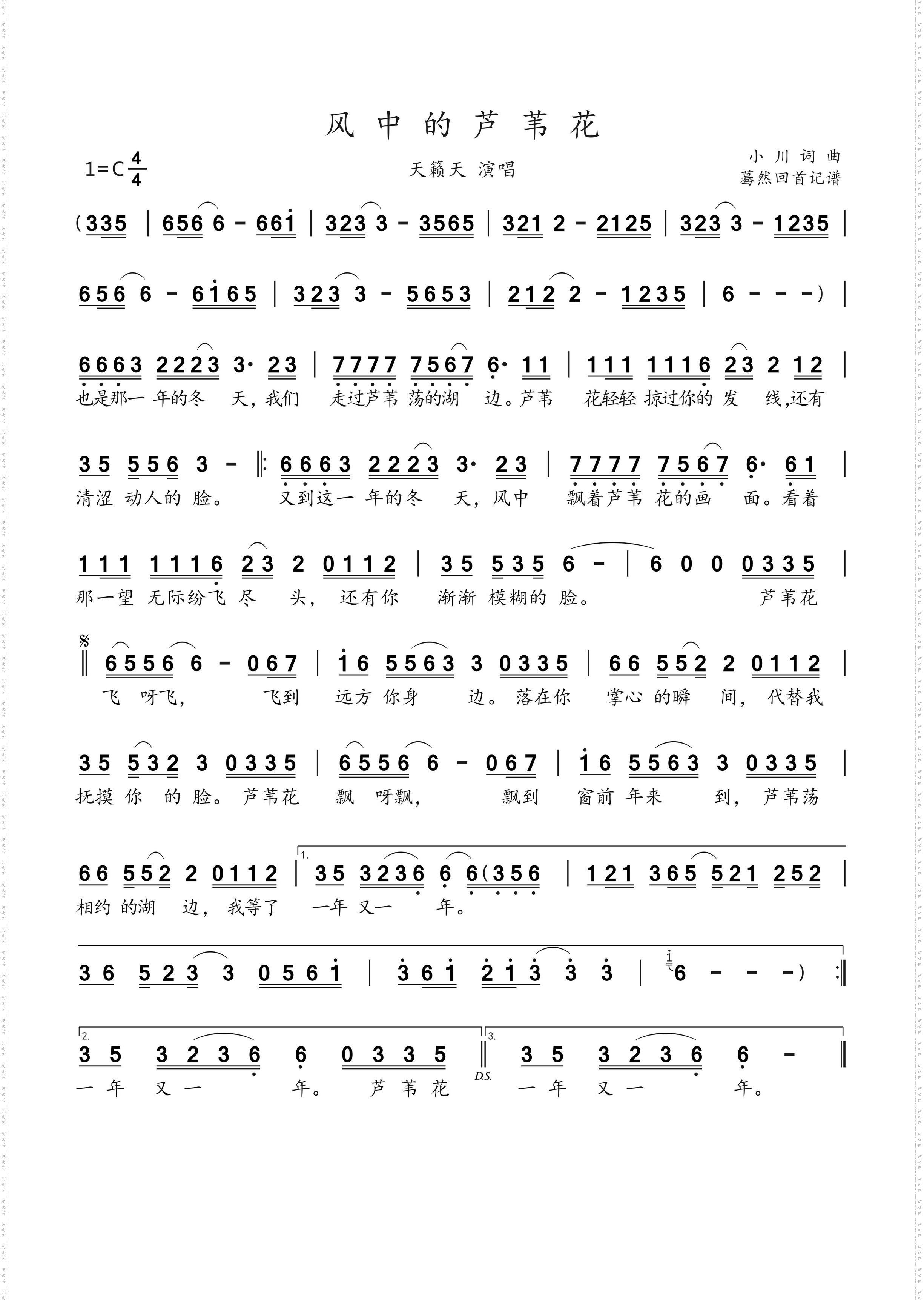 风中的芦苇花_天籁天演唱