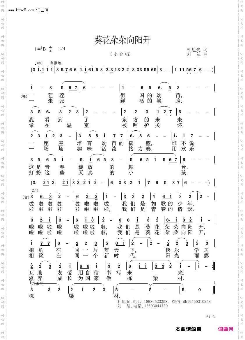 葵花朵朵向阳开