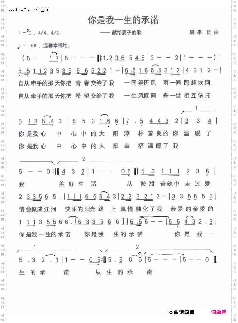 你是我一生的承诺