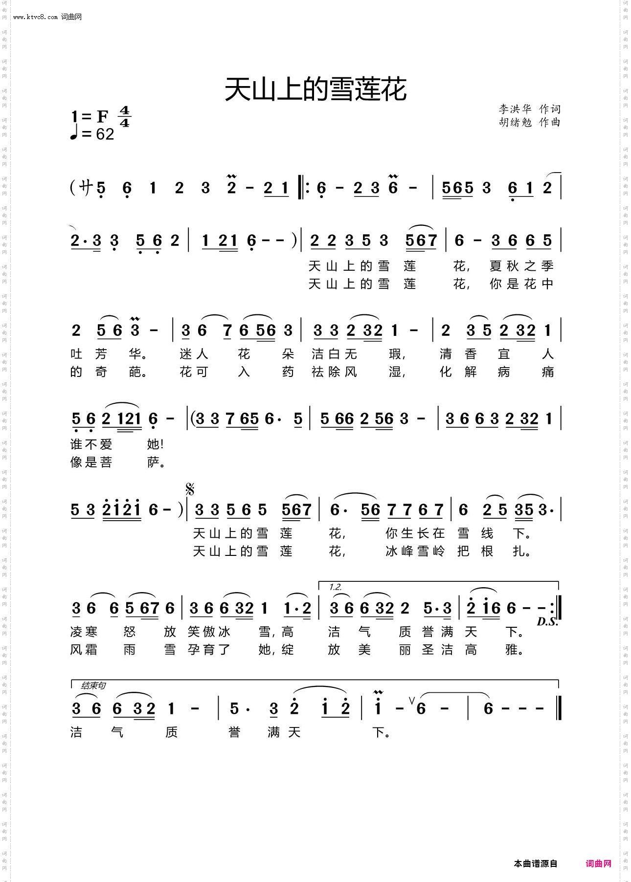 天山上的雪莲花