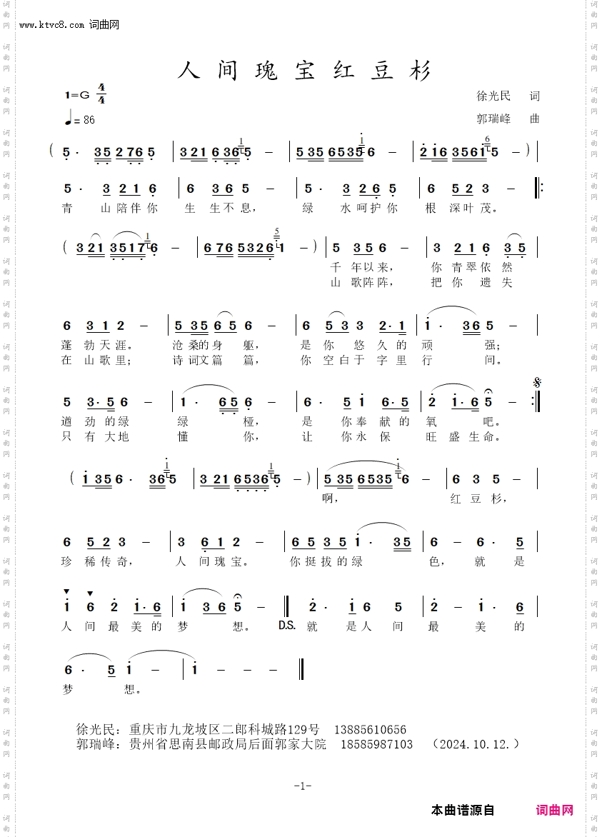 人间瑰宝红豆杉