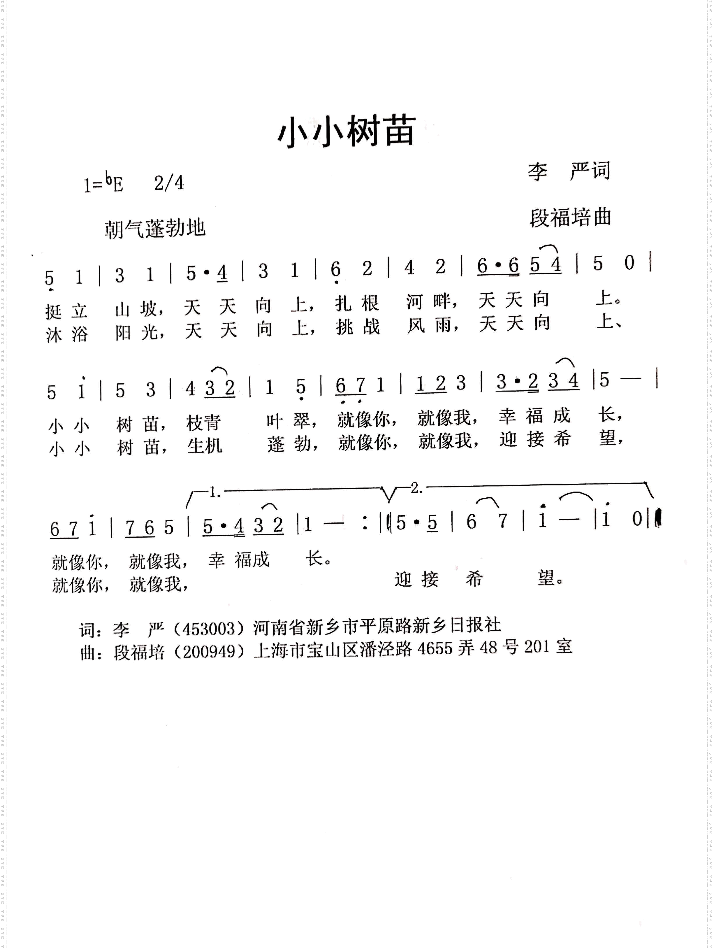 小小树苗