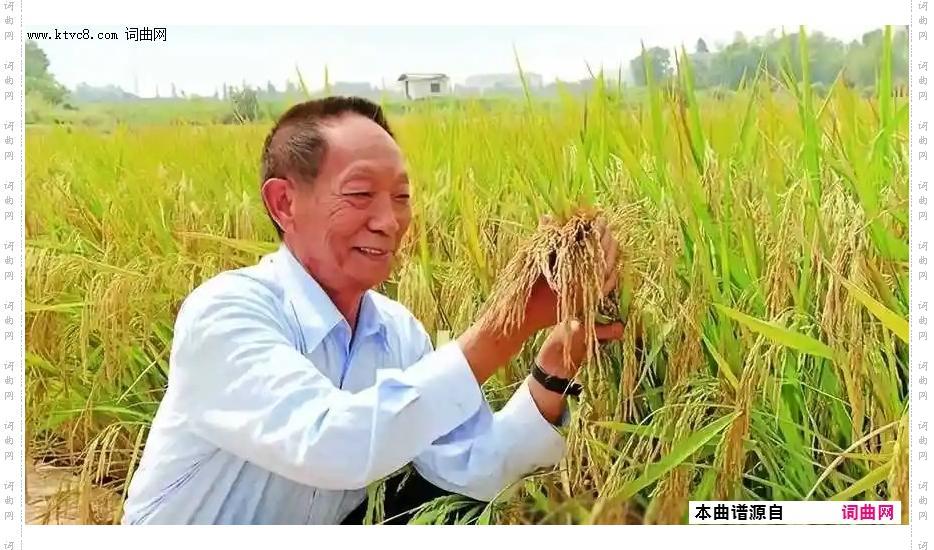 我有一个梦_深切缅怀共和国院士袁隆平