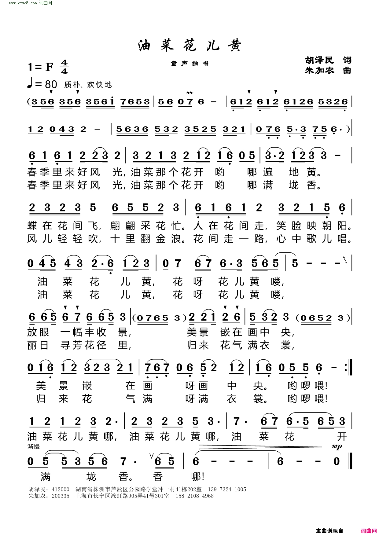 油菜花儿黄