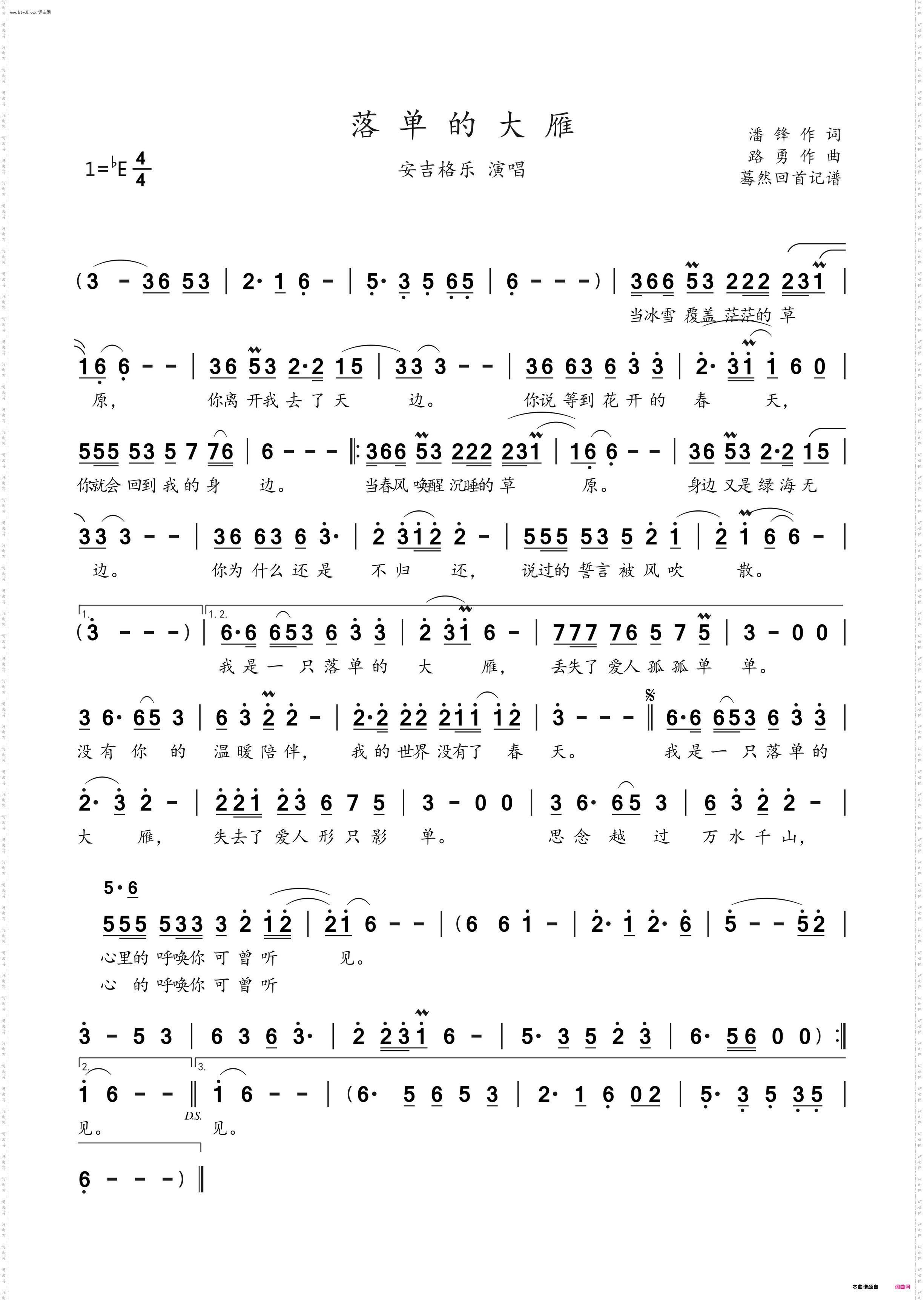 落单的大雁_安吉格乐演唱