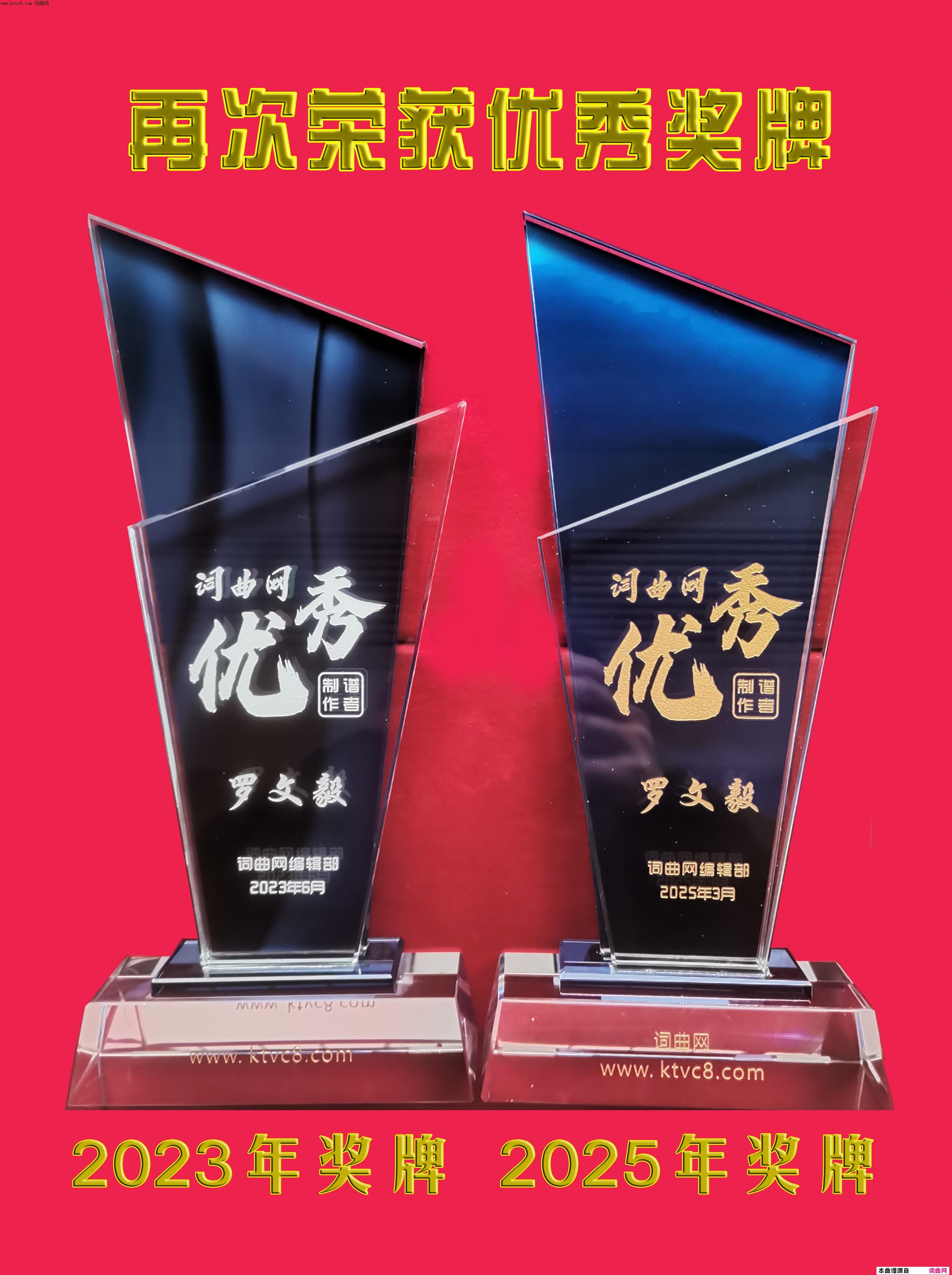 再次荣获优秀奖牌