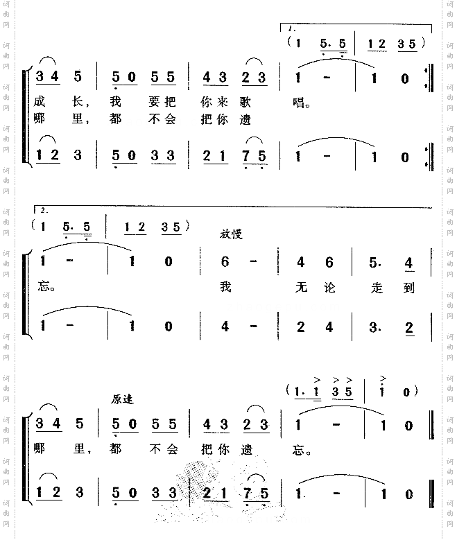 校园里的小白杨