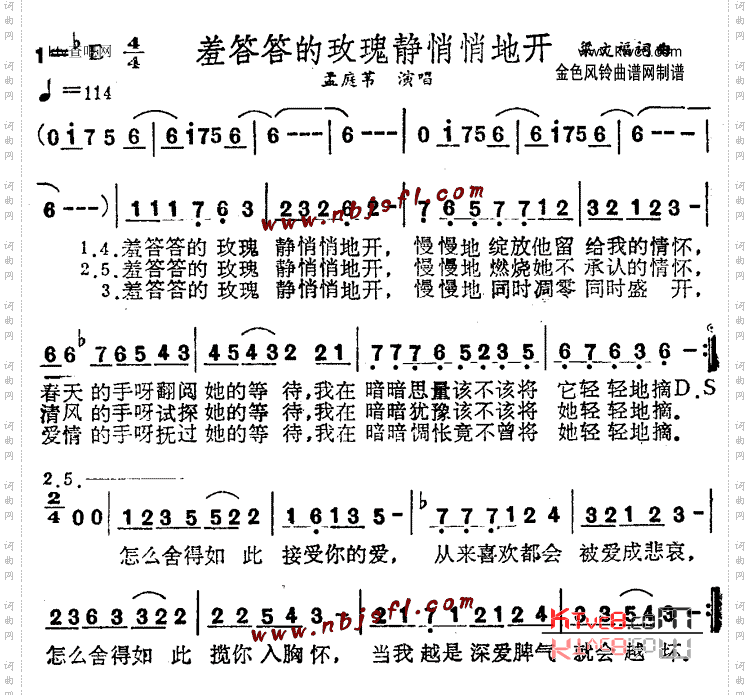 羞答答的玫瑰静悄悄地开