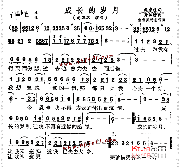 成长的岁月